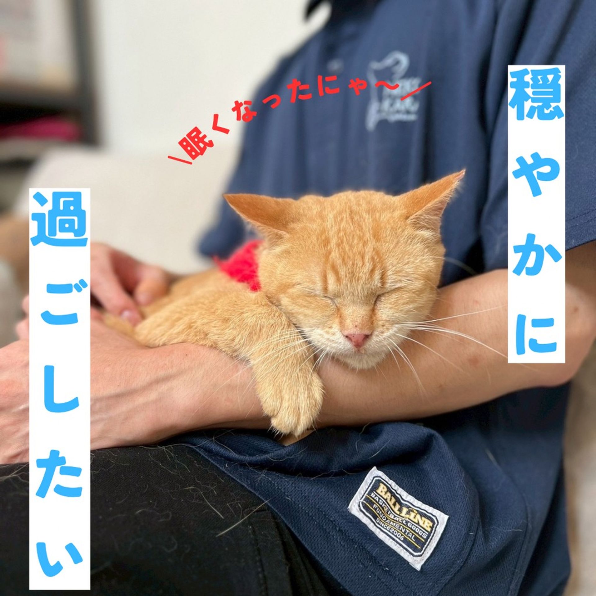 thumbnail-5