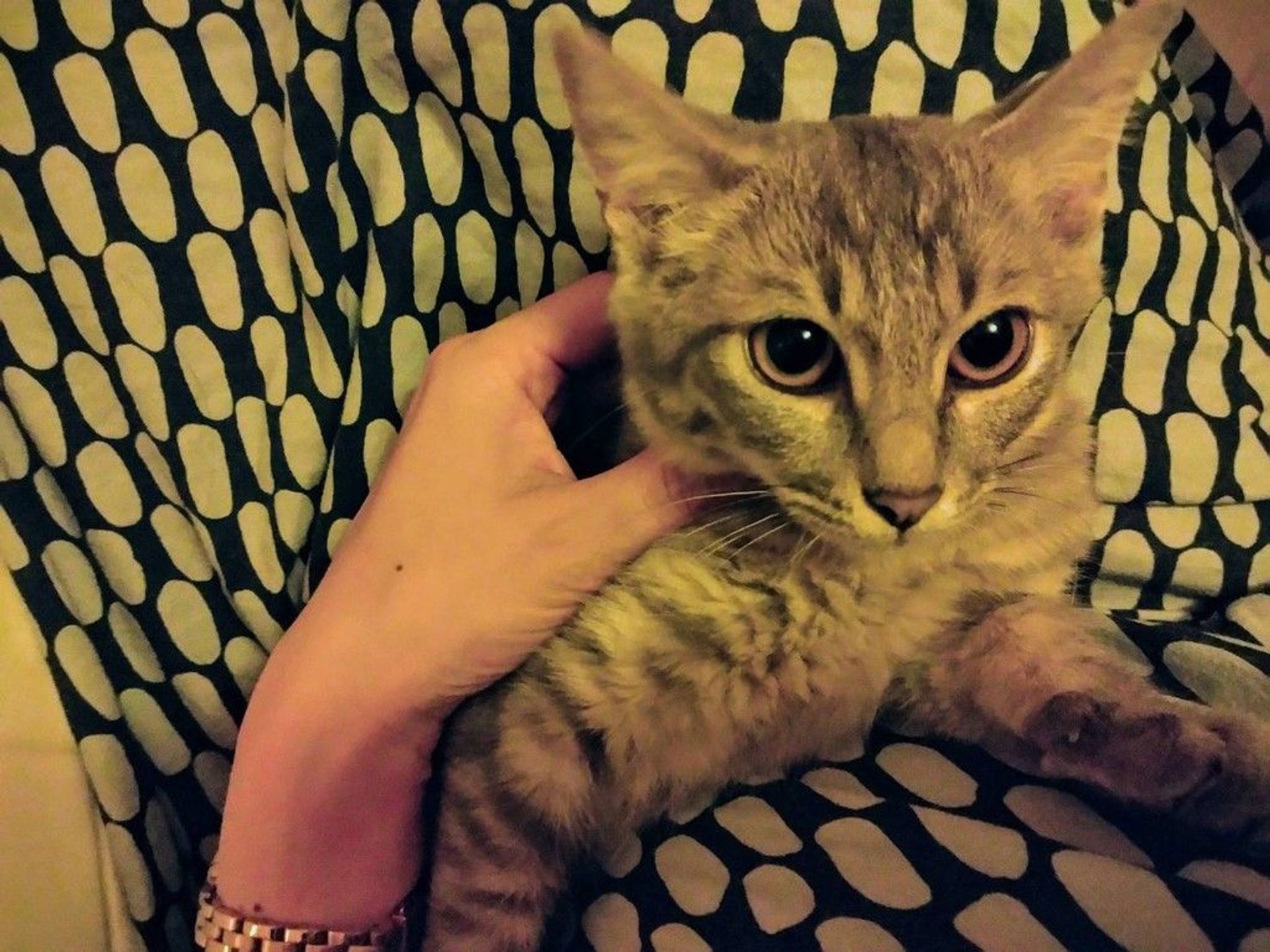 thumbnail-5