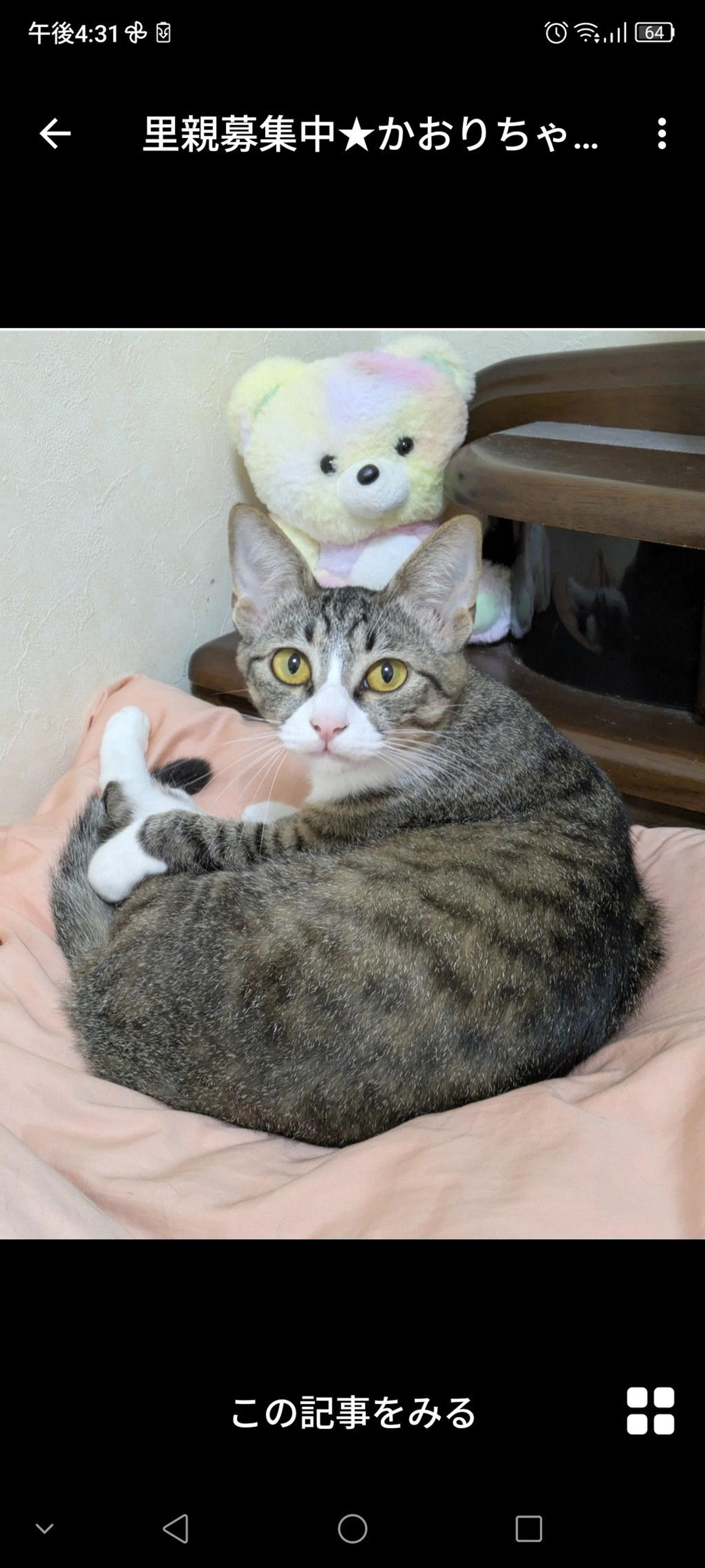 pet-image-2