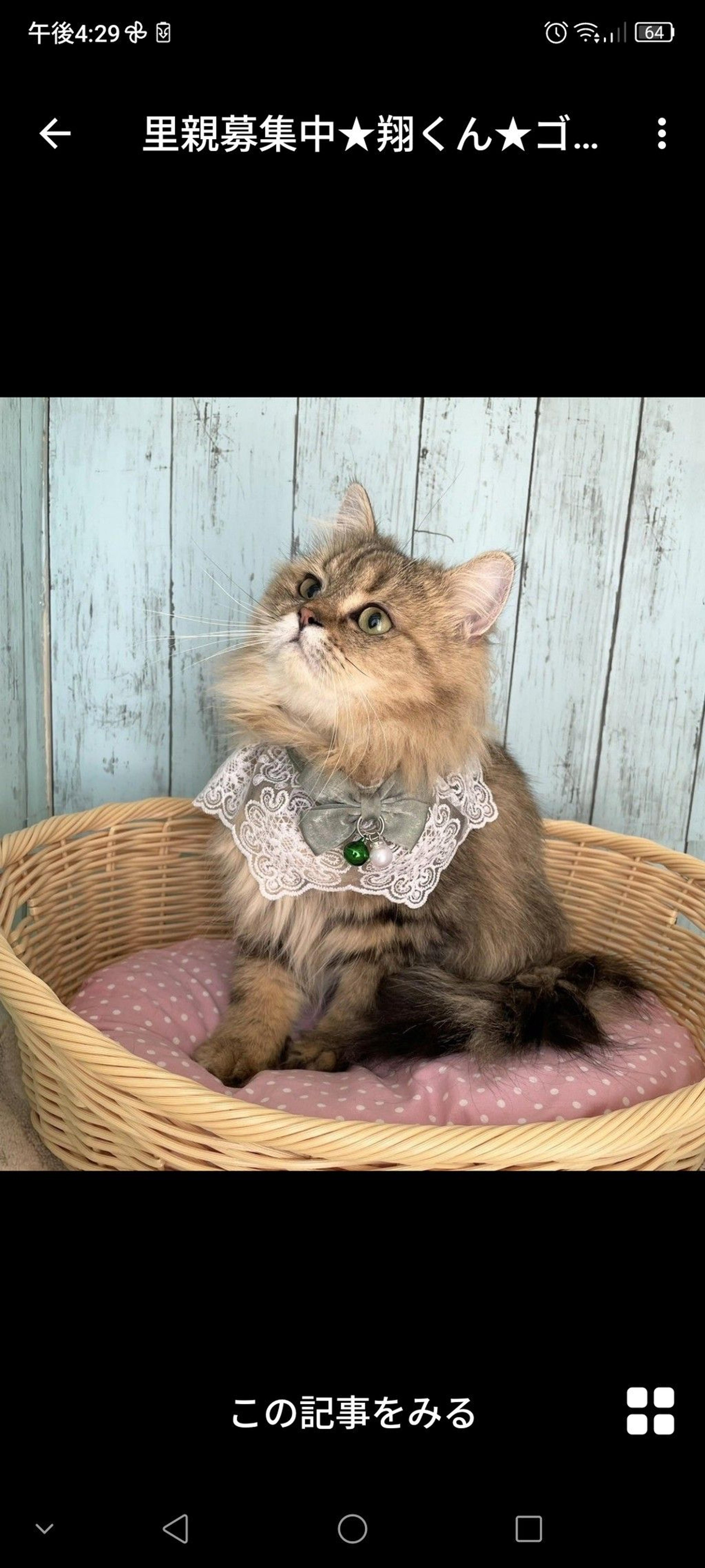 pet-image-2