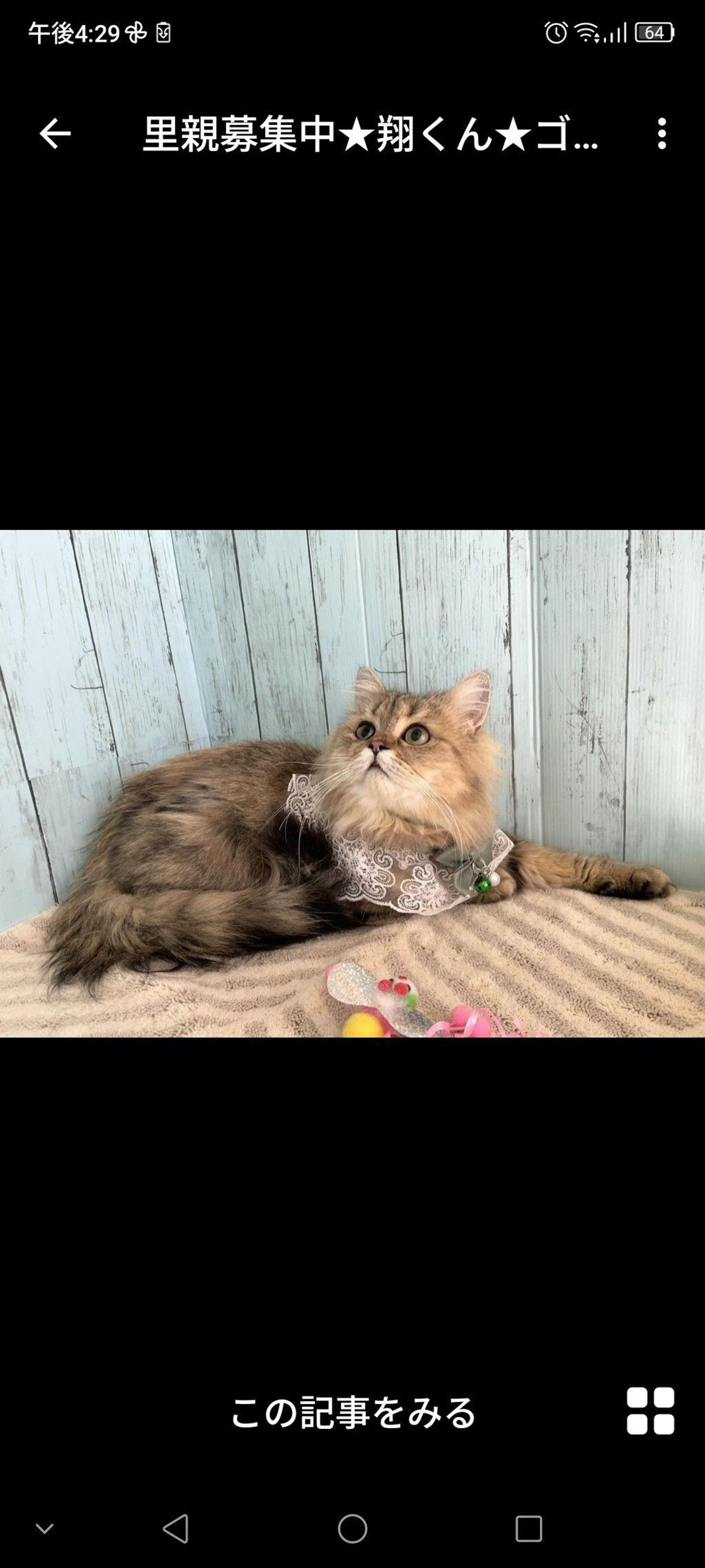 pet-image-3