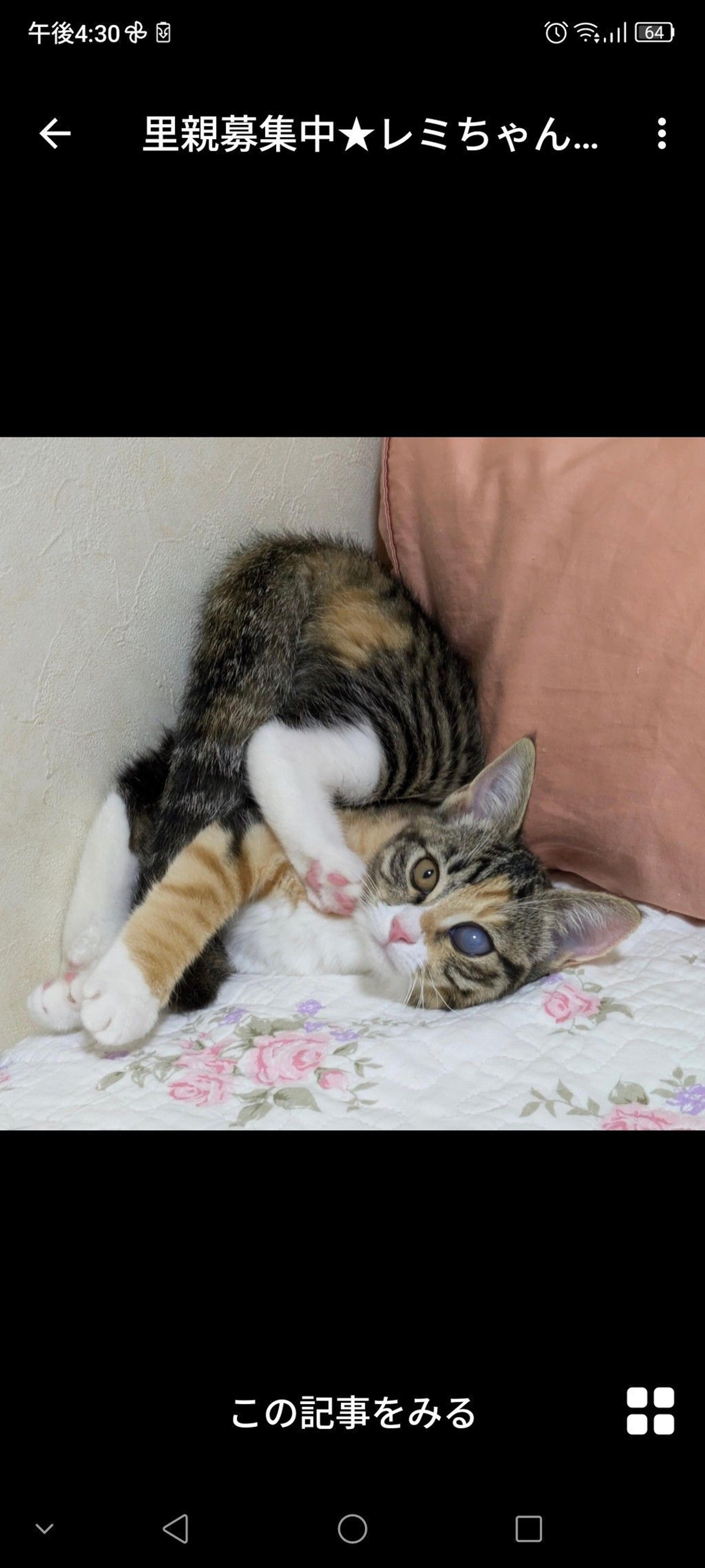 pet-image-3
