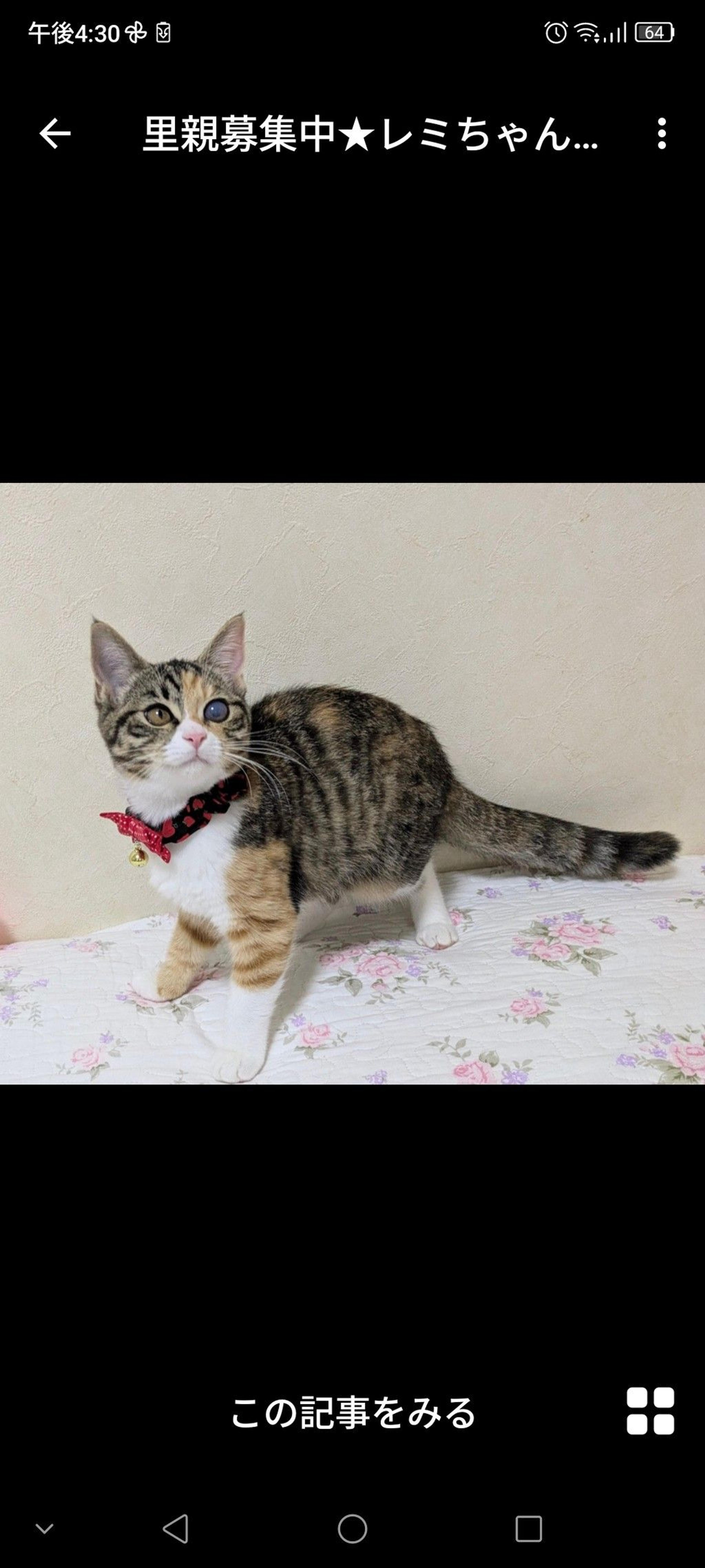 pet-image-2