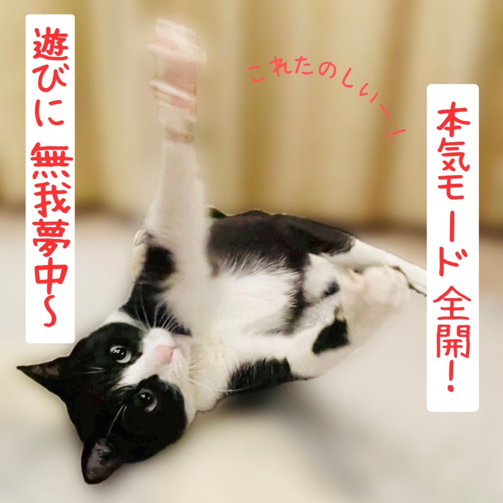 thumbnail-6