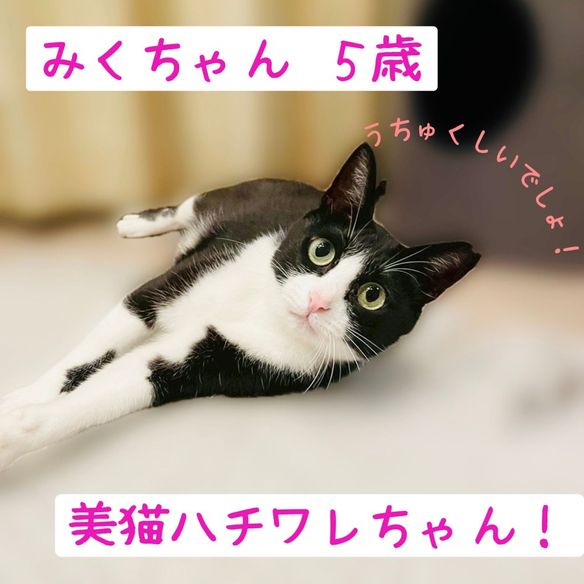 thumbnail-7