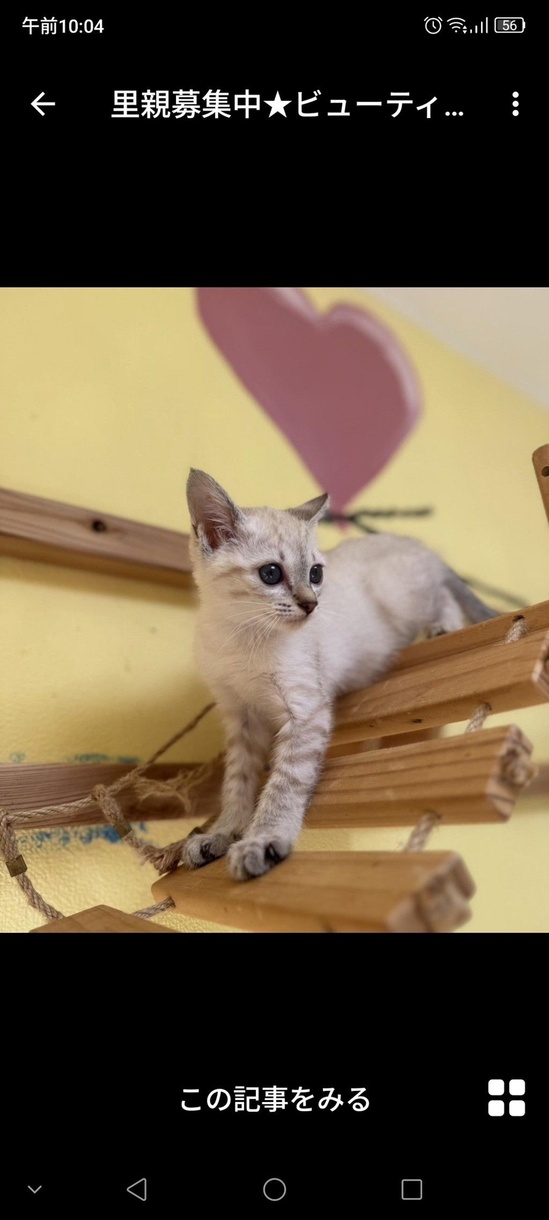 pet-image-3