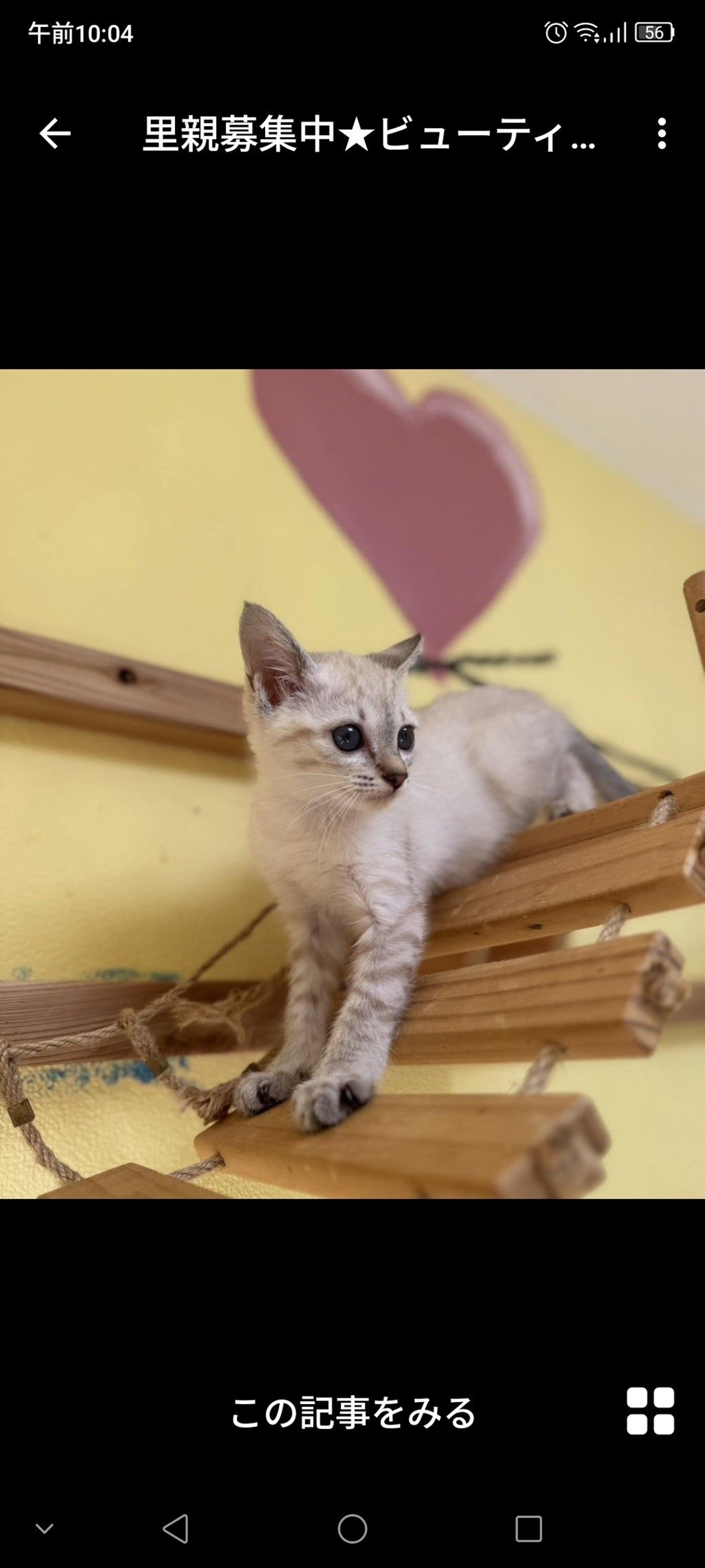 pet-image-3
