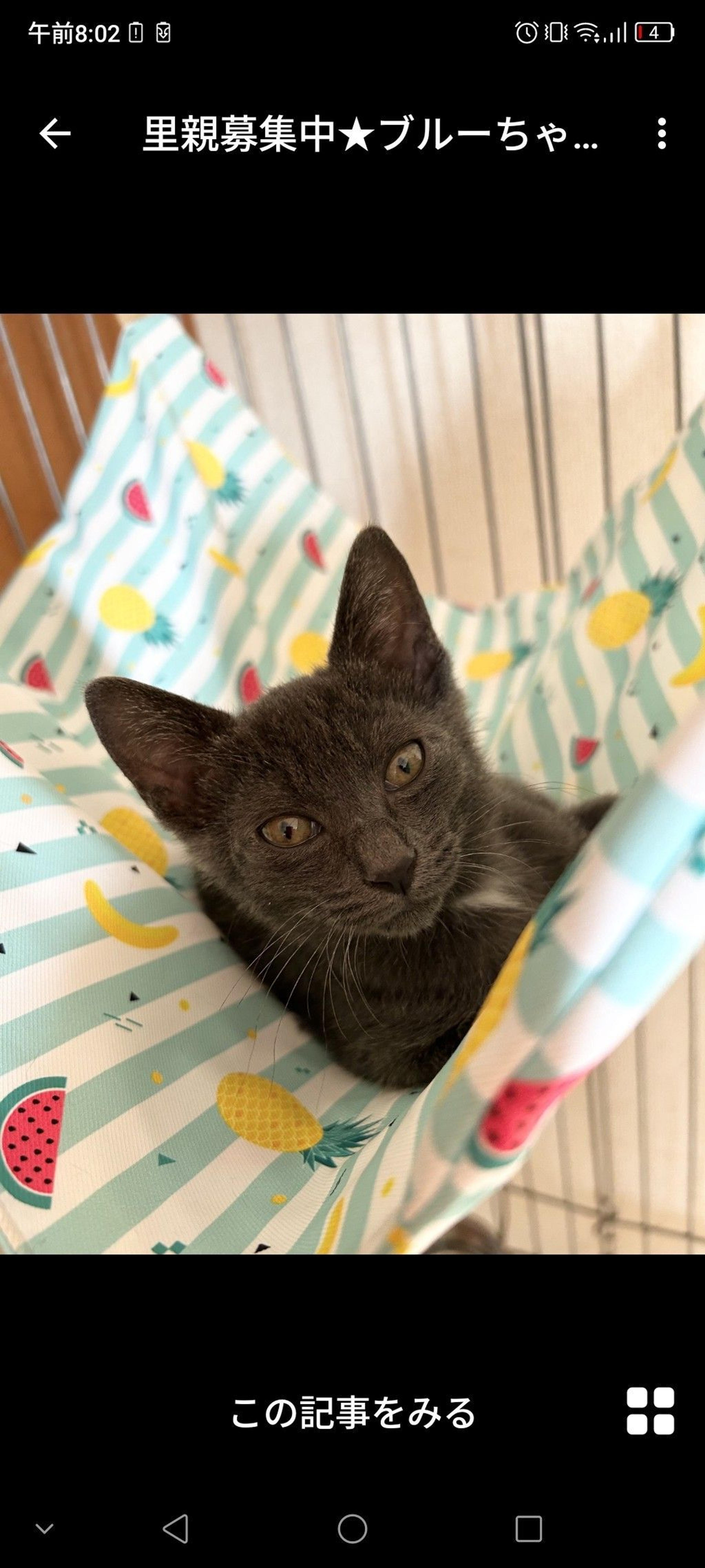 pet-image-2