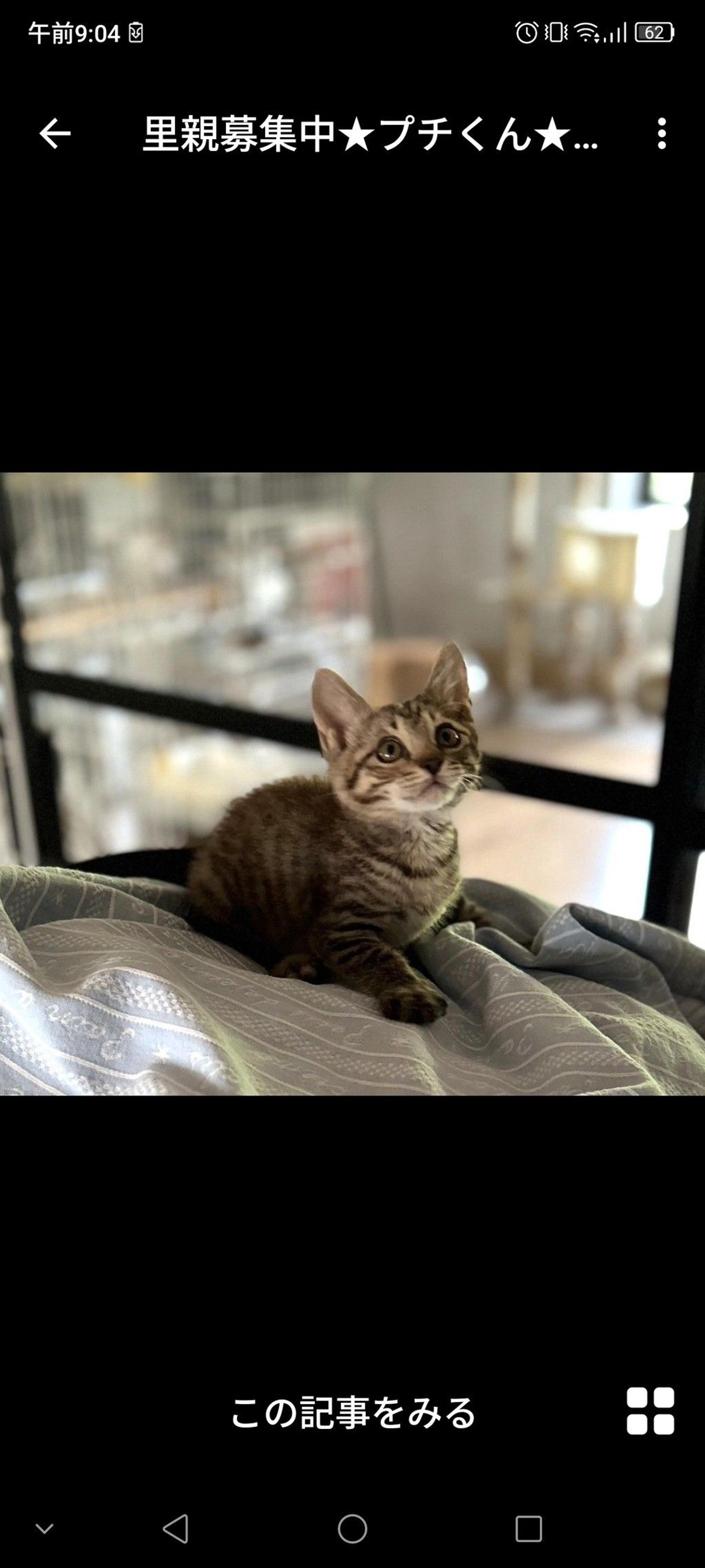 pet-image-3