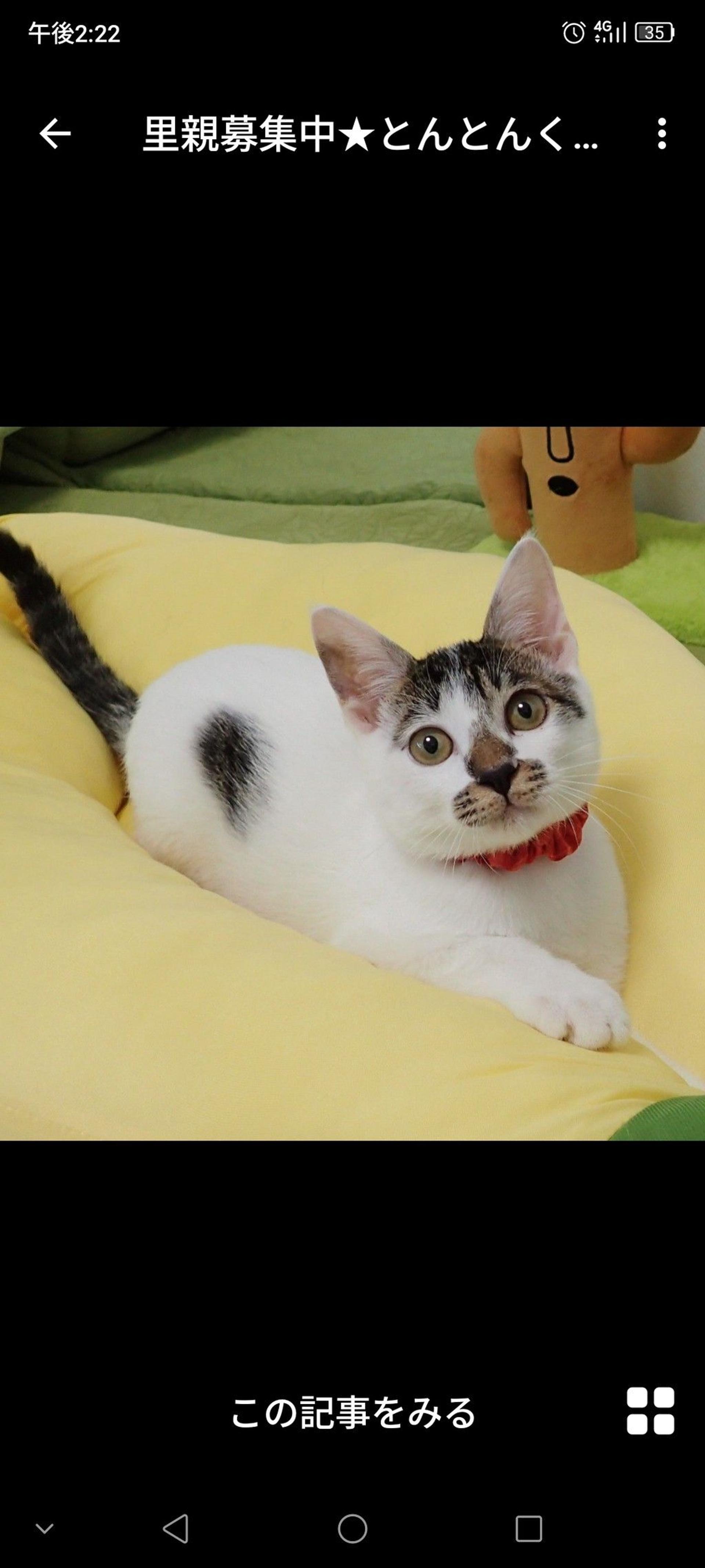 pet-image-2