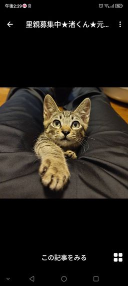 thumb-1