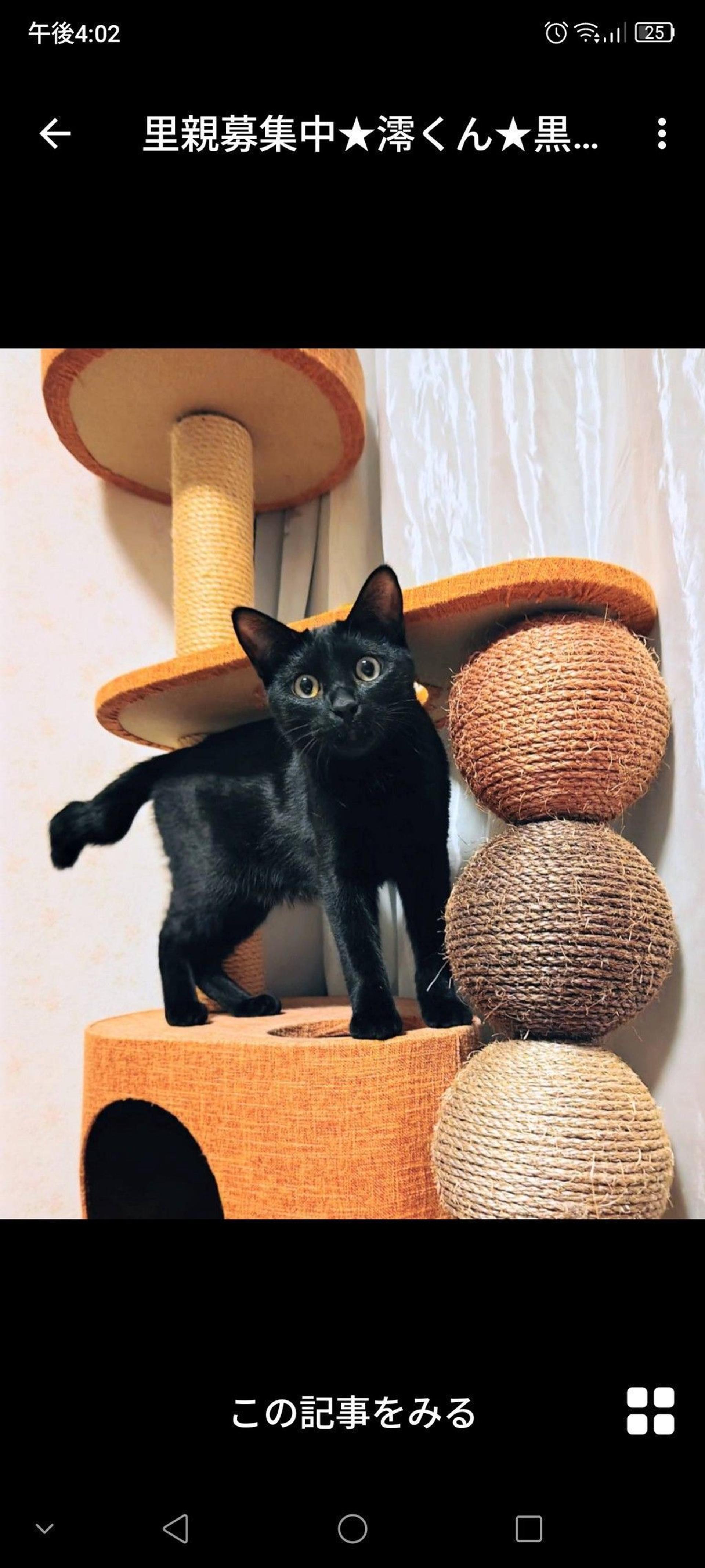 pet-image-3