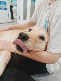 thumb-2