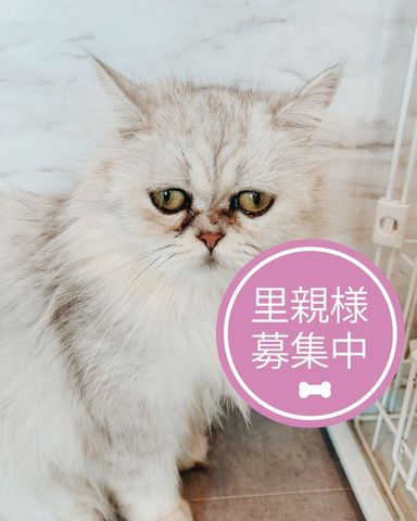 バツマル