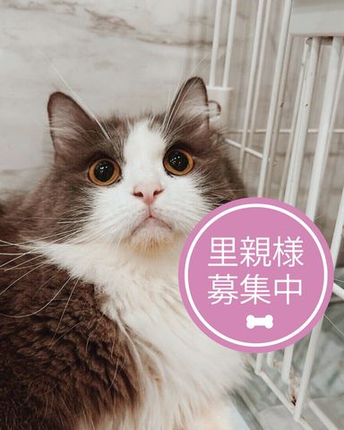 ぽかぽか
