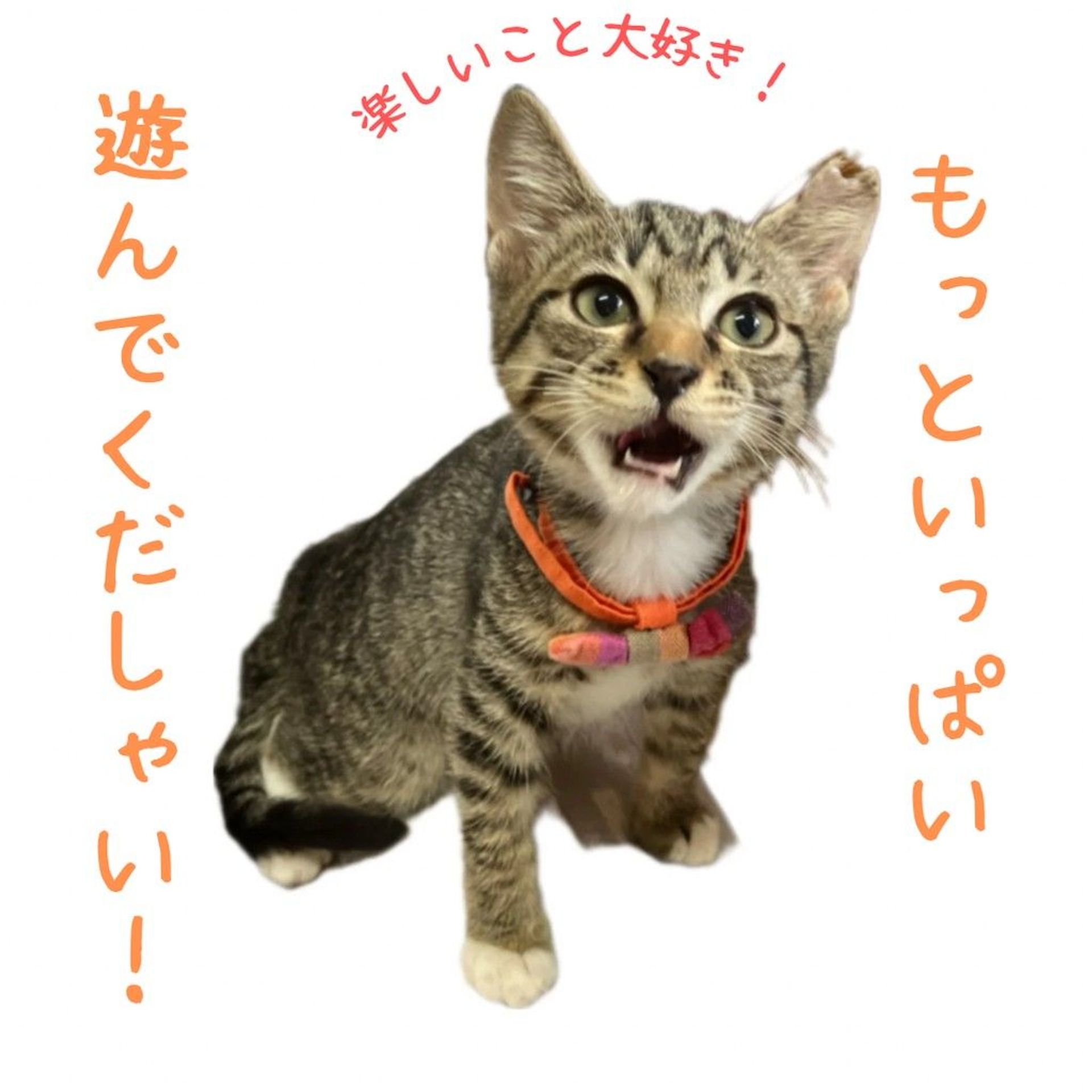 thumbnail-5