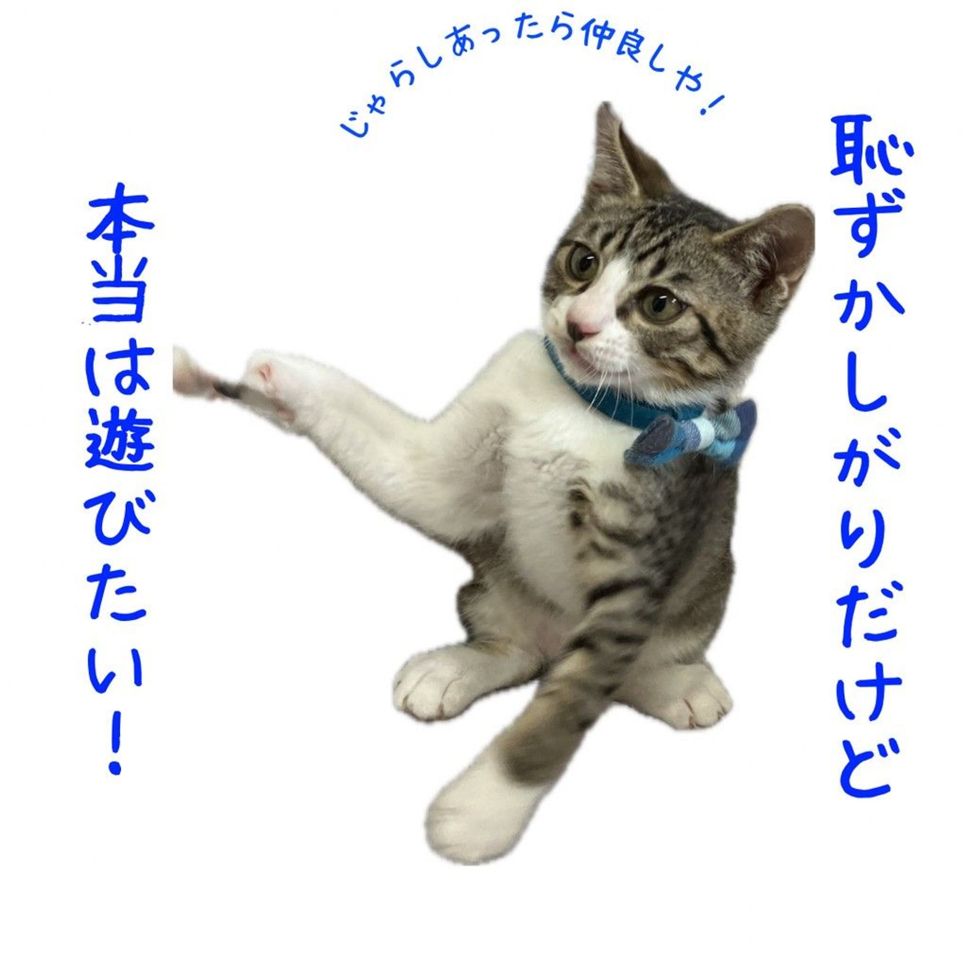 thumbnail-4