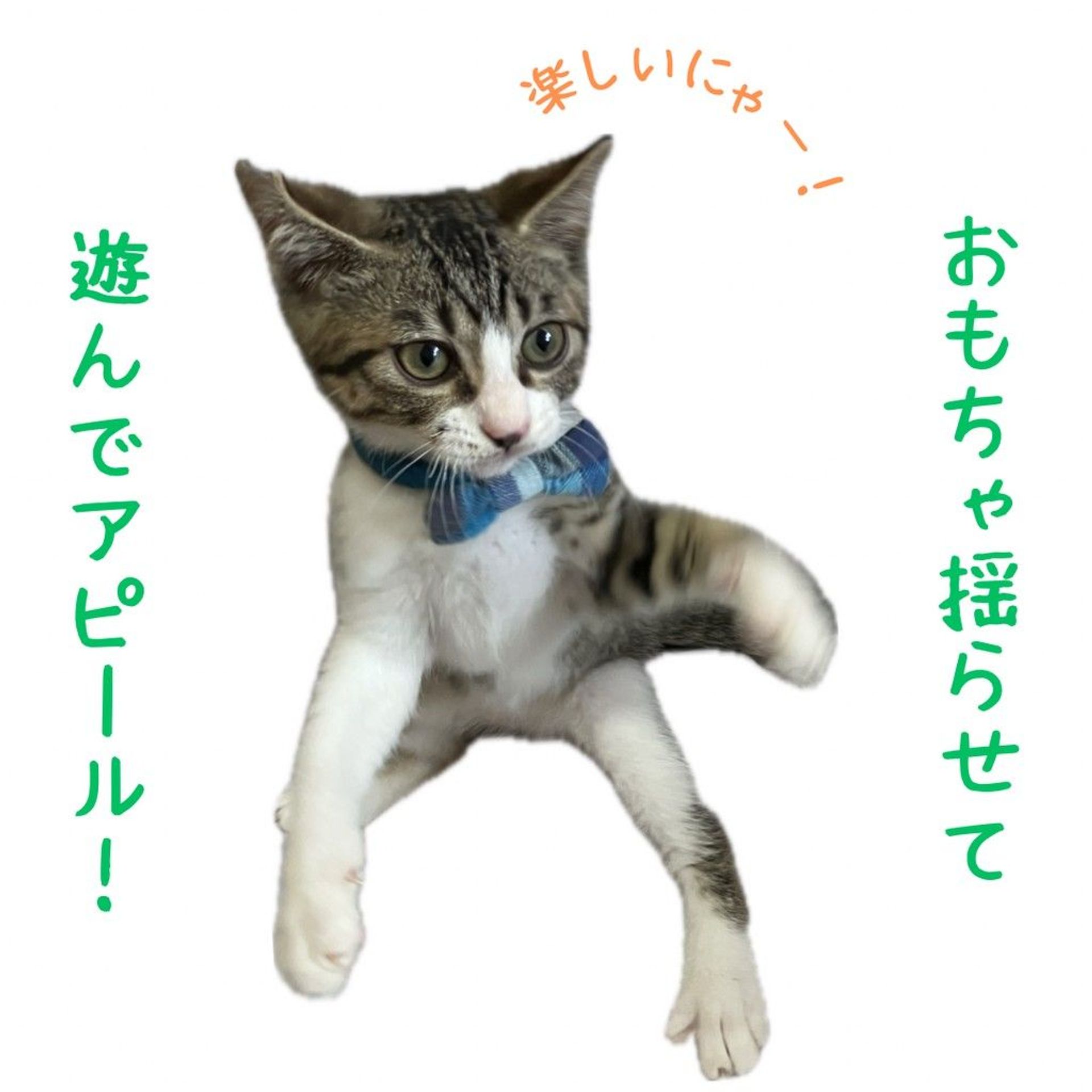 thumbnail-3