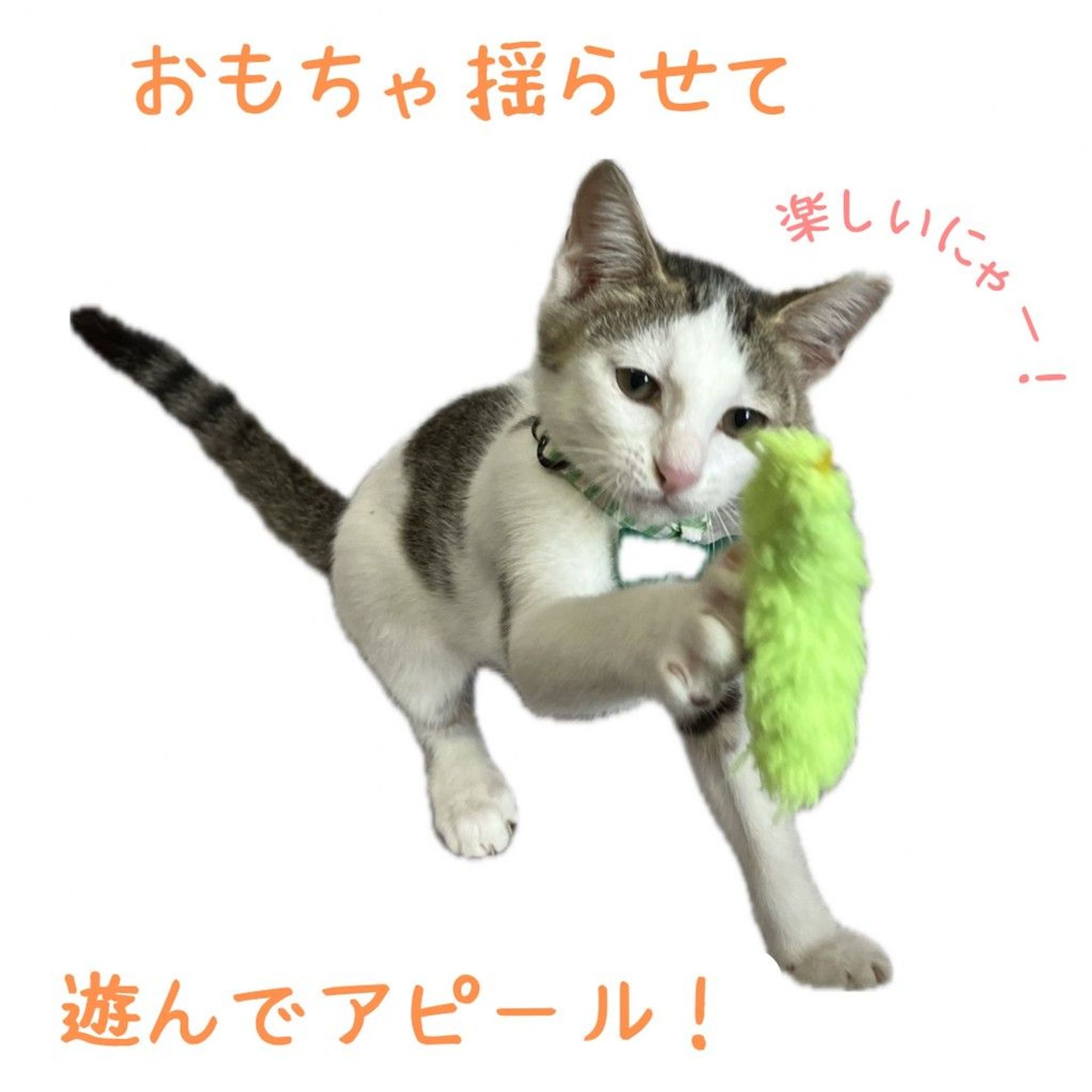 thumbnail-5