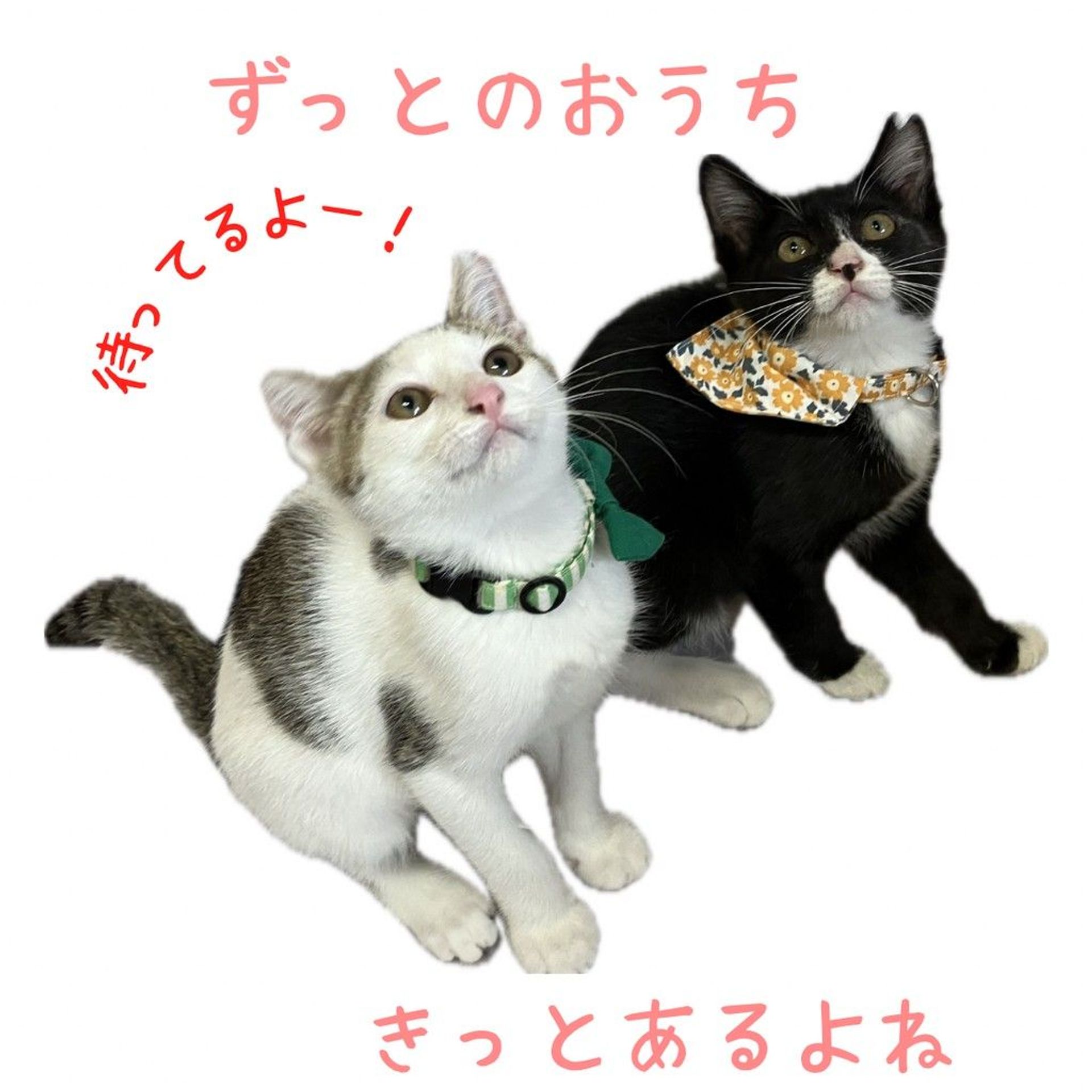 thumbnail-7