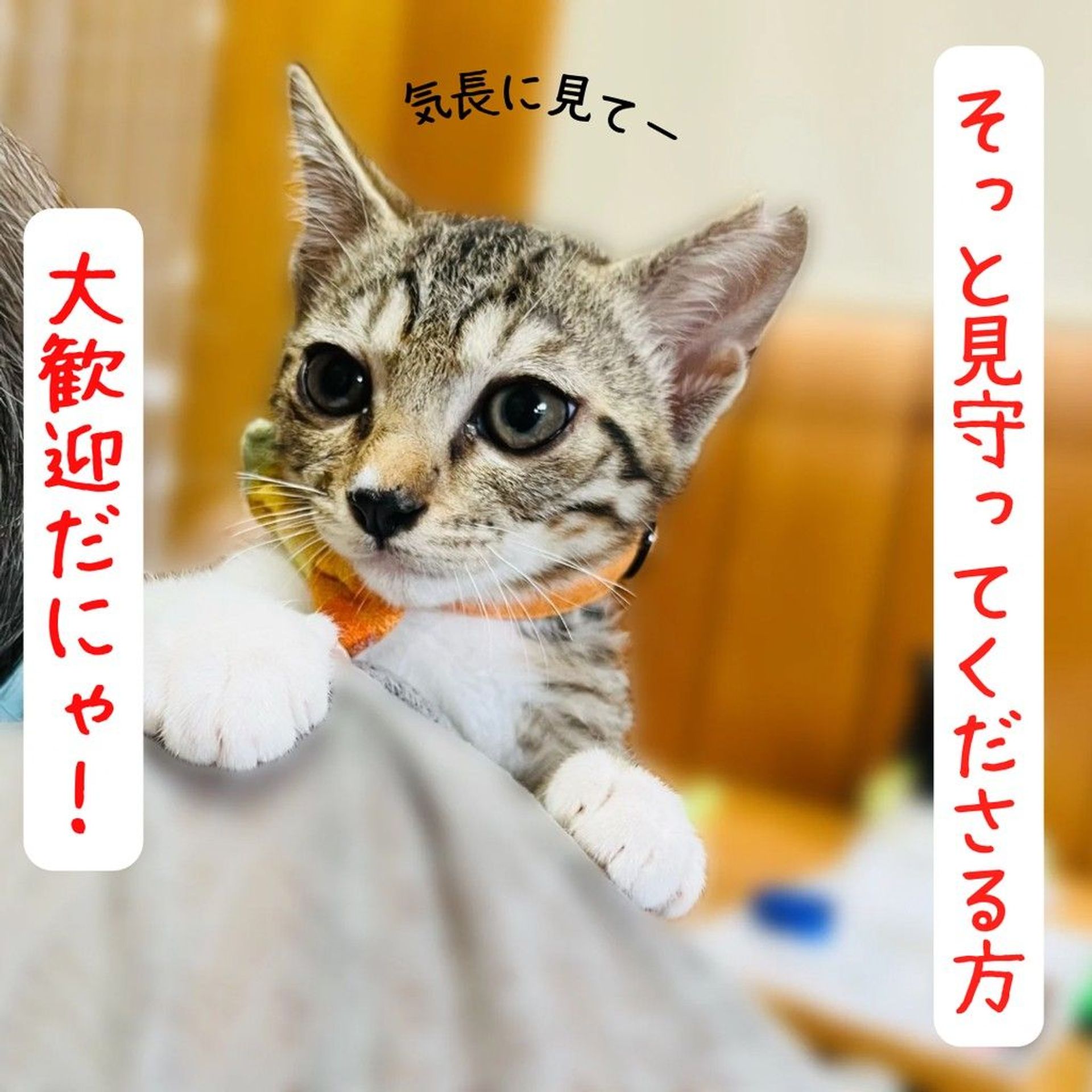thumbnail-3