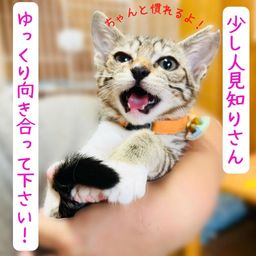 thumb-1