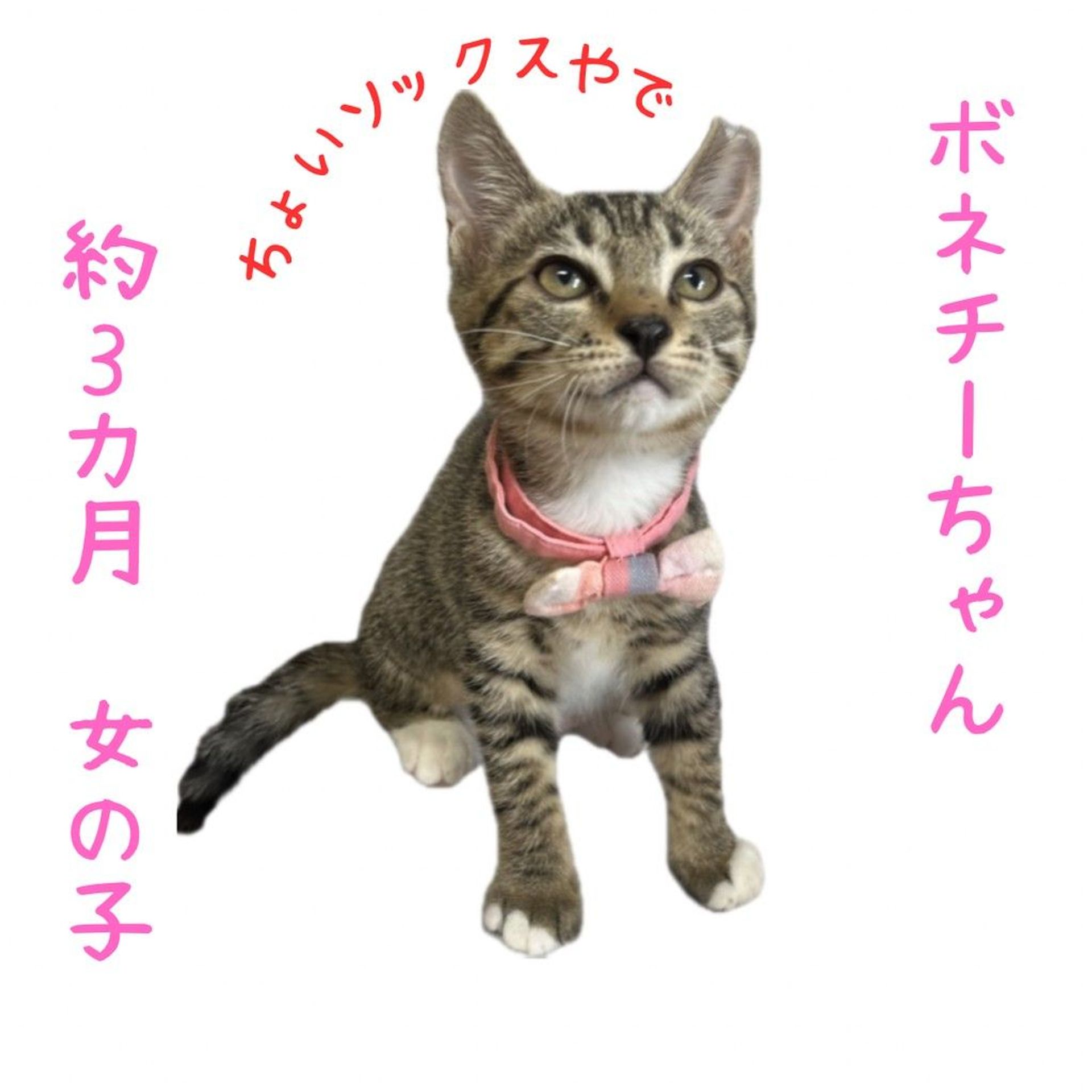 thumbnail-4