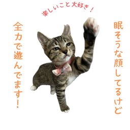 thumb-1