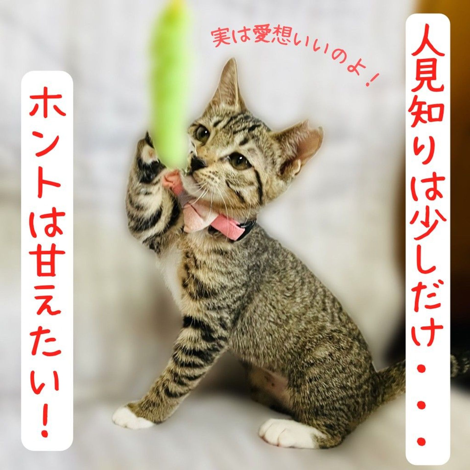thumbnail-3