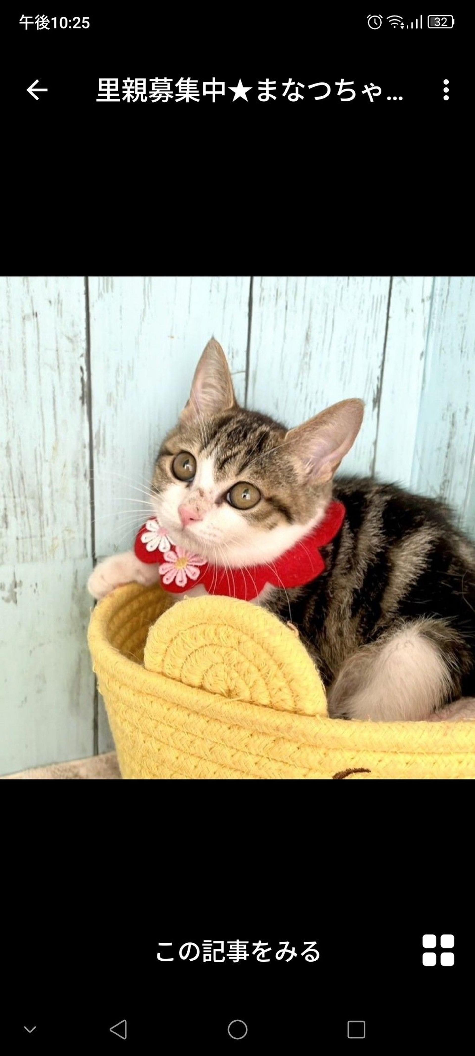 pet-image-3