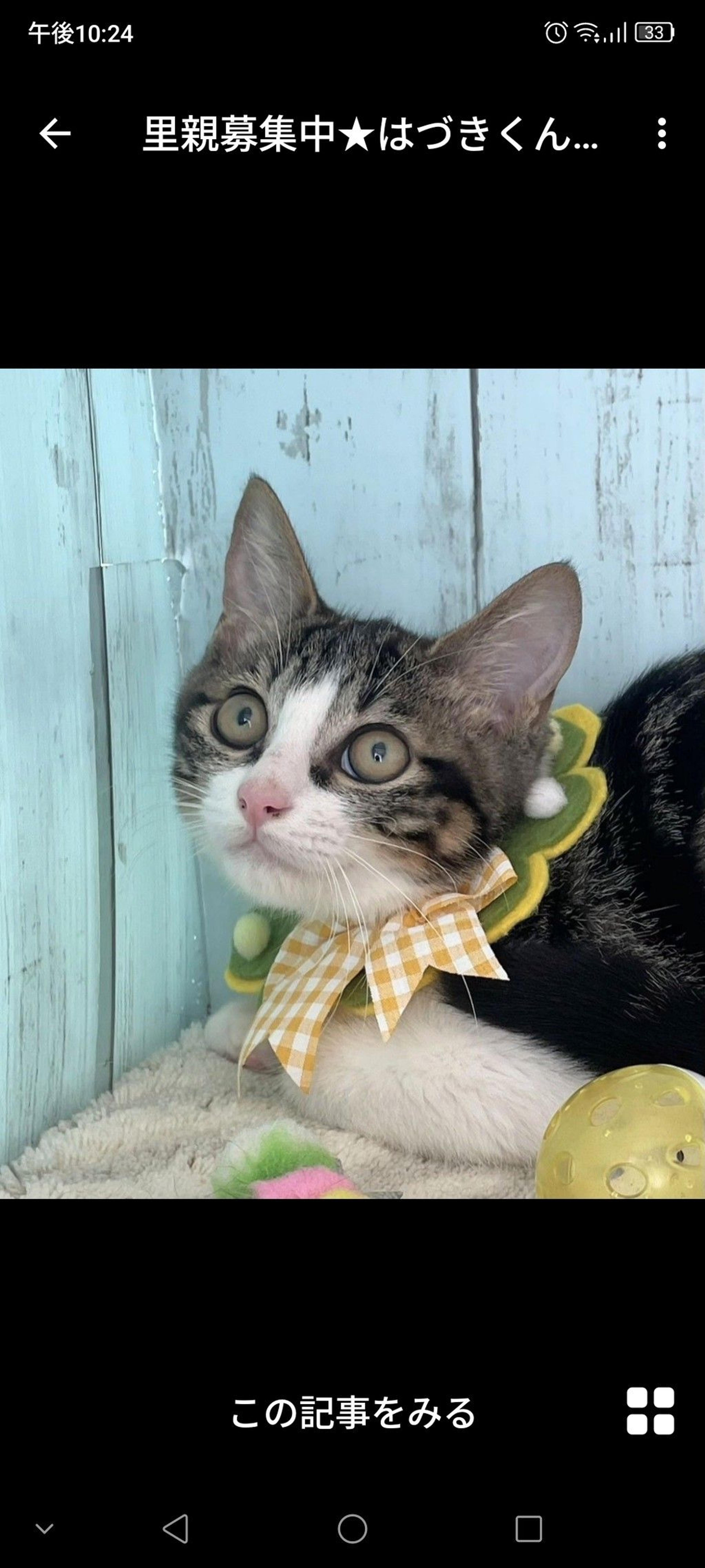 pet-image-3