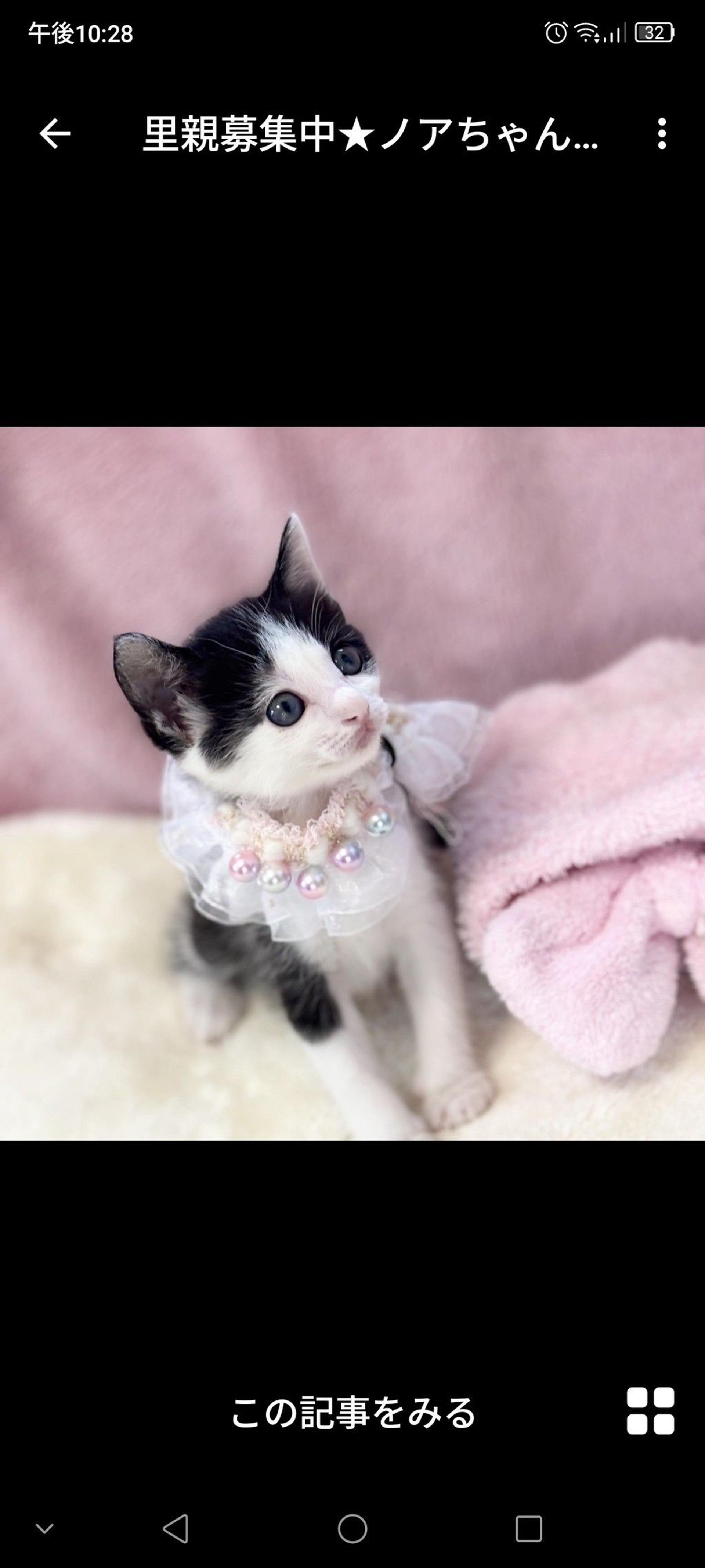 pet-image-3