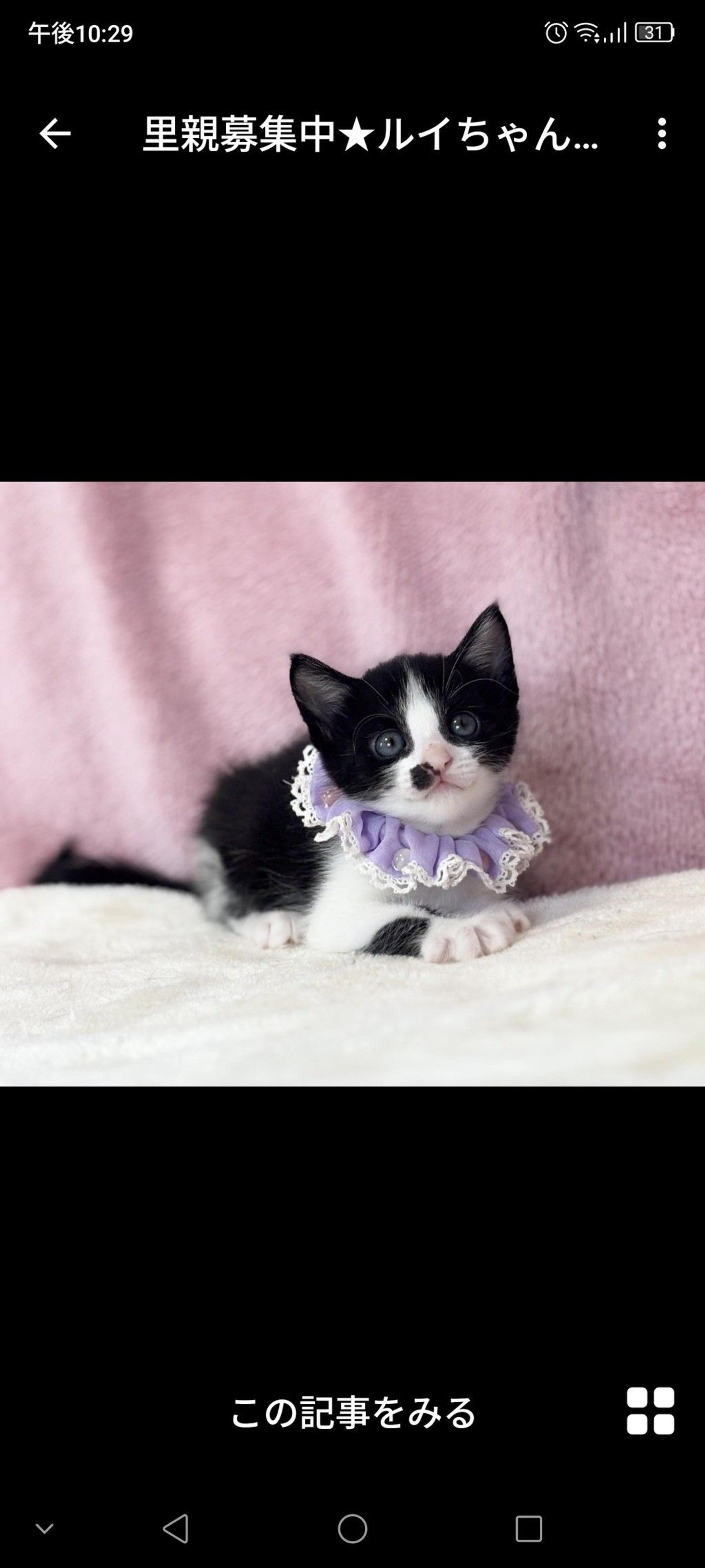 pet-image-2