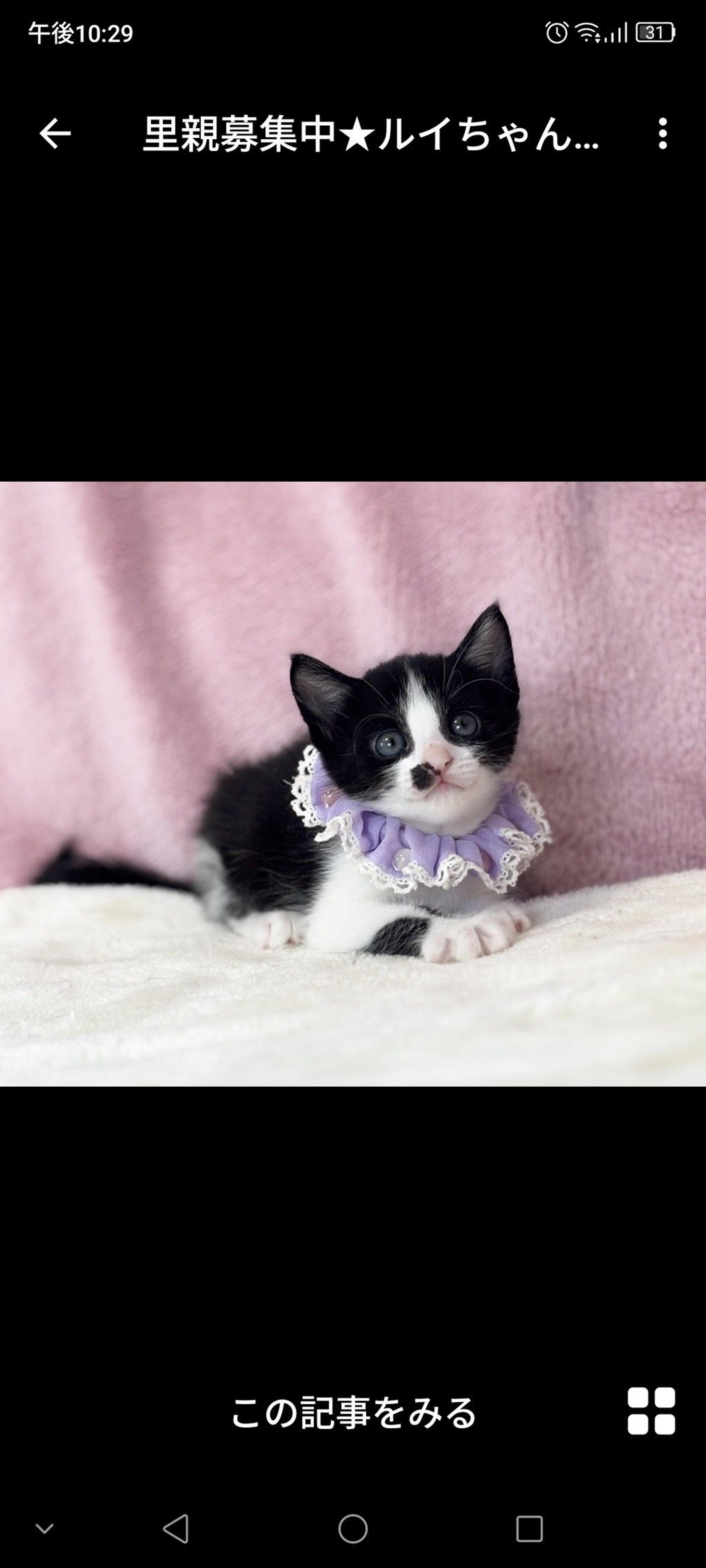 pet-image-2