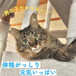 thumb-1
