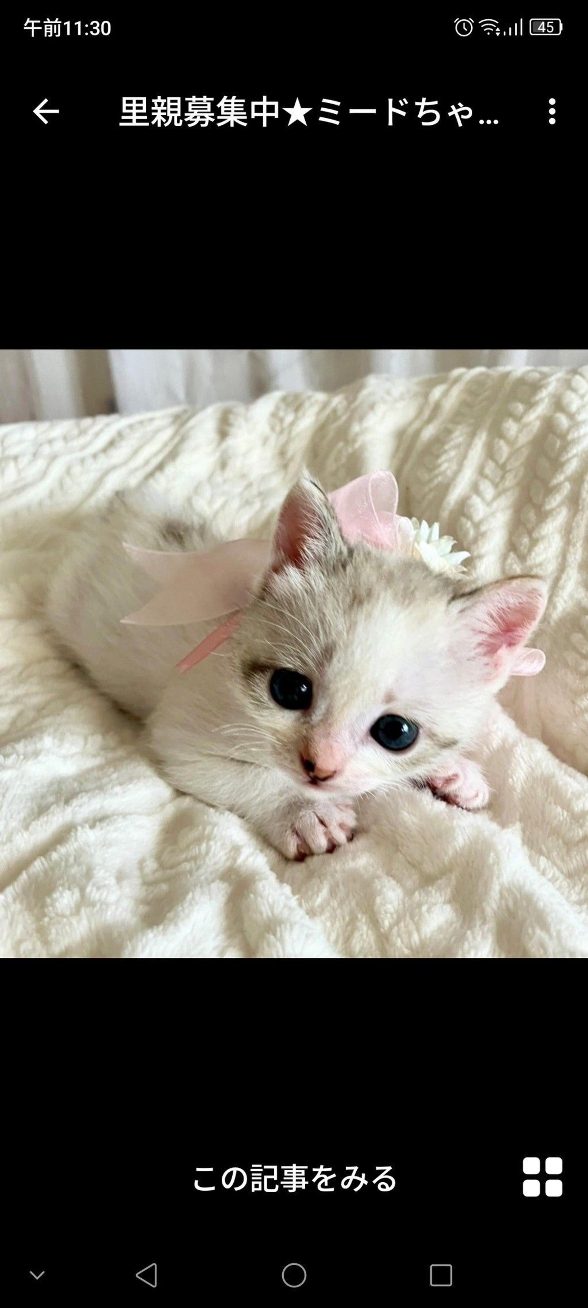 pet-image-2