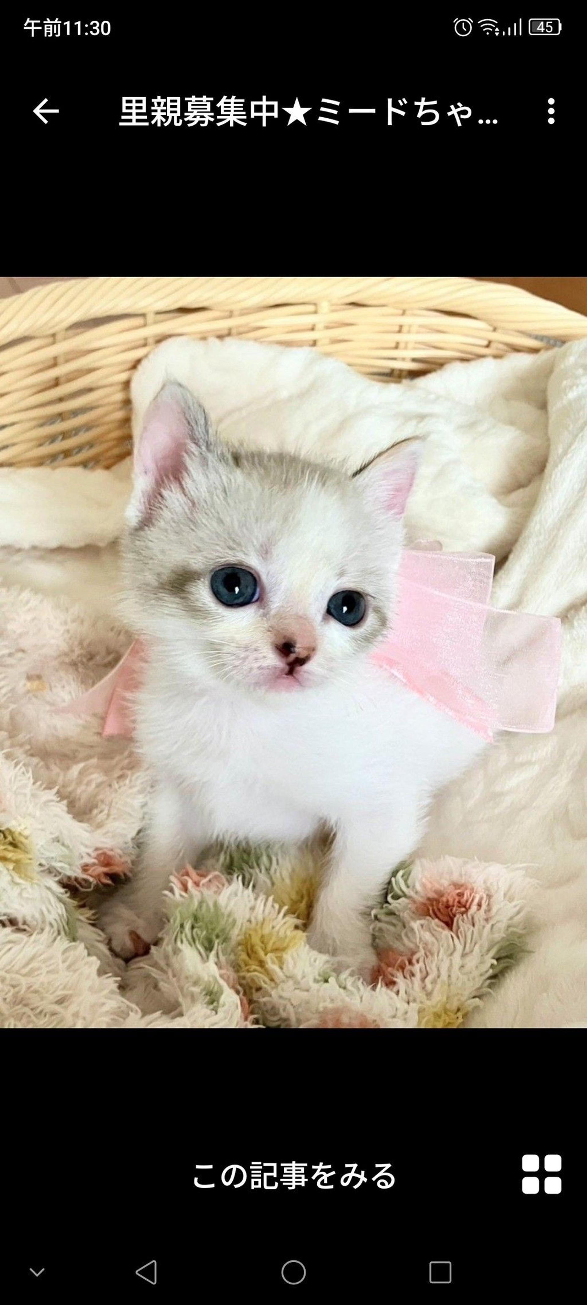 pet-image-3