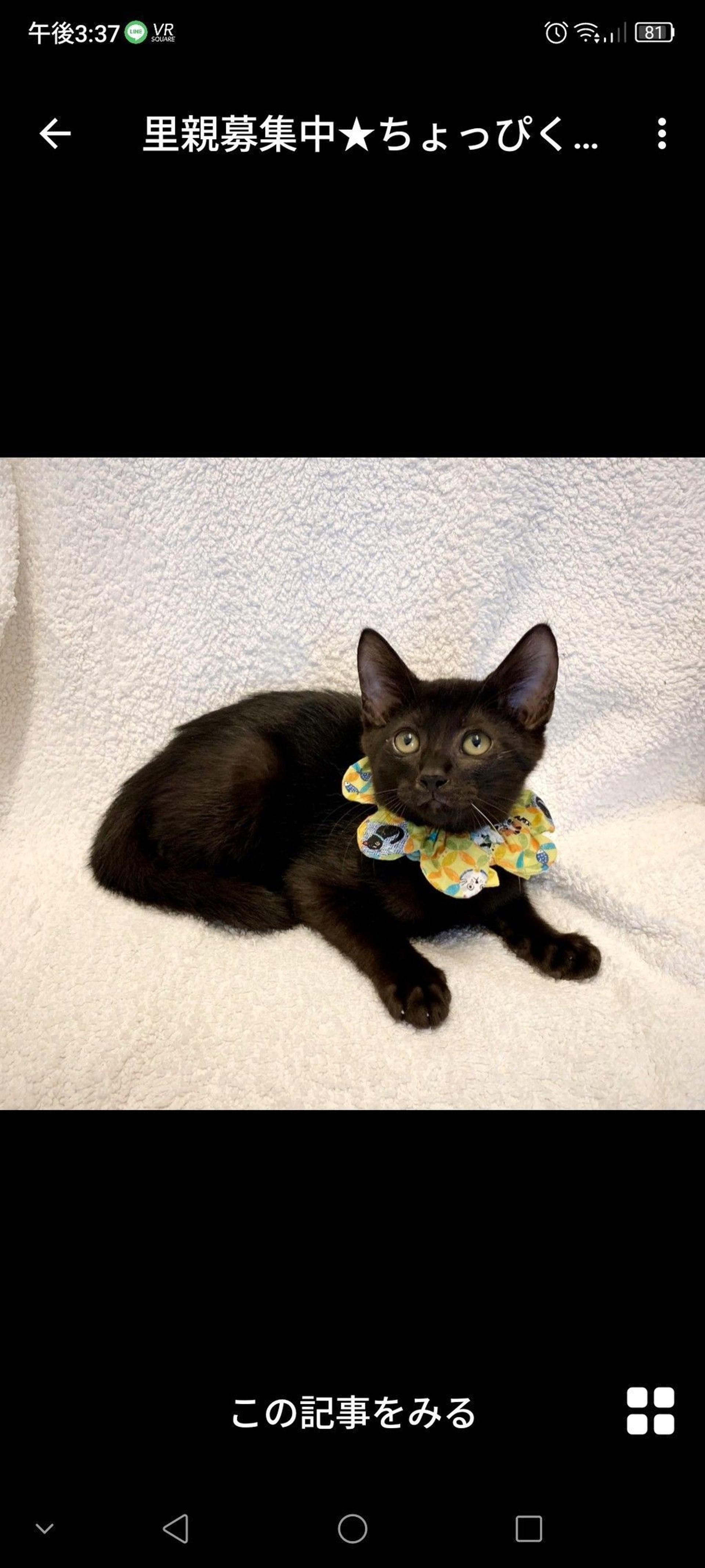 pet-image-2