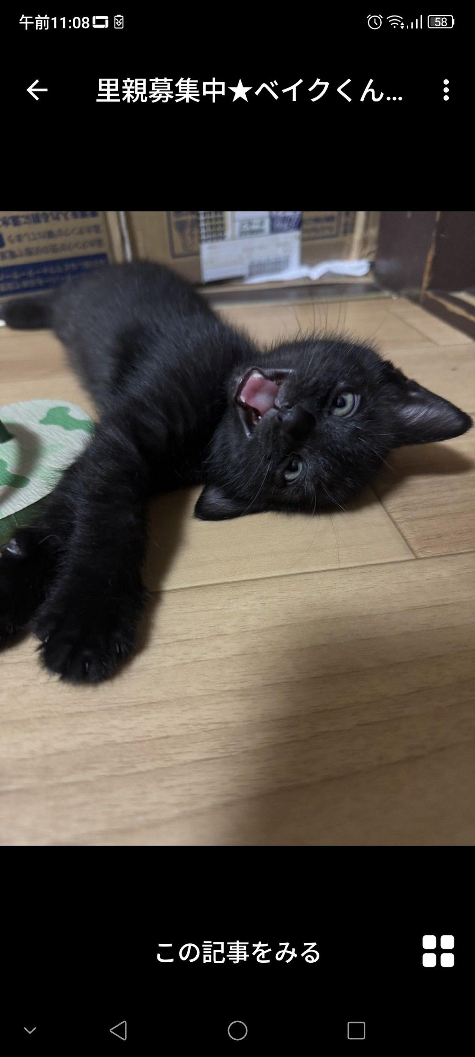 pet-image-3