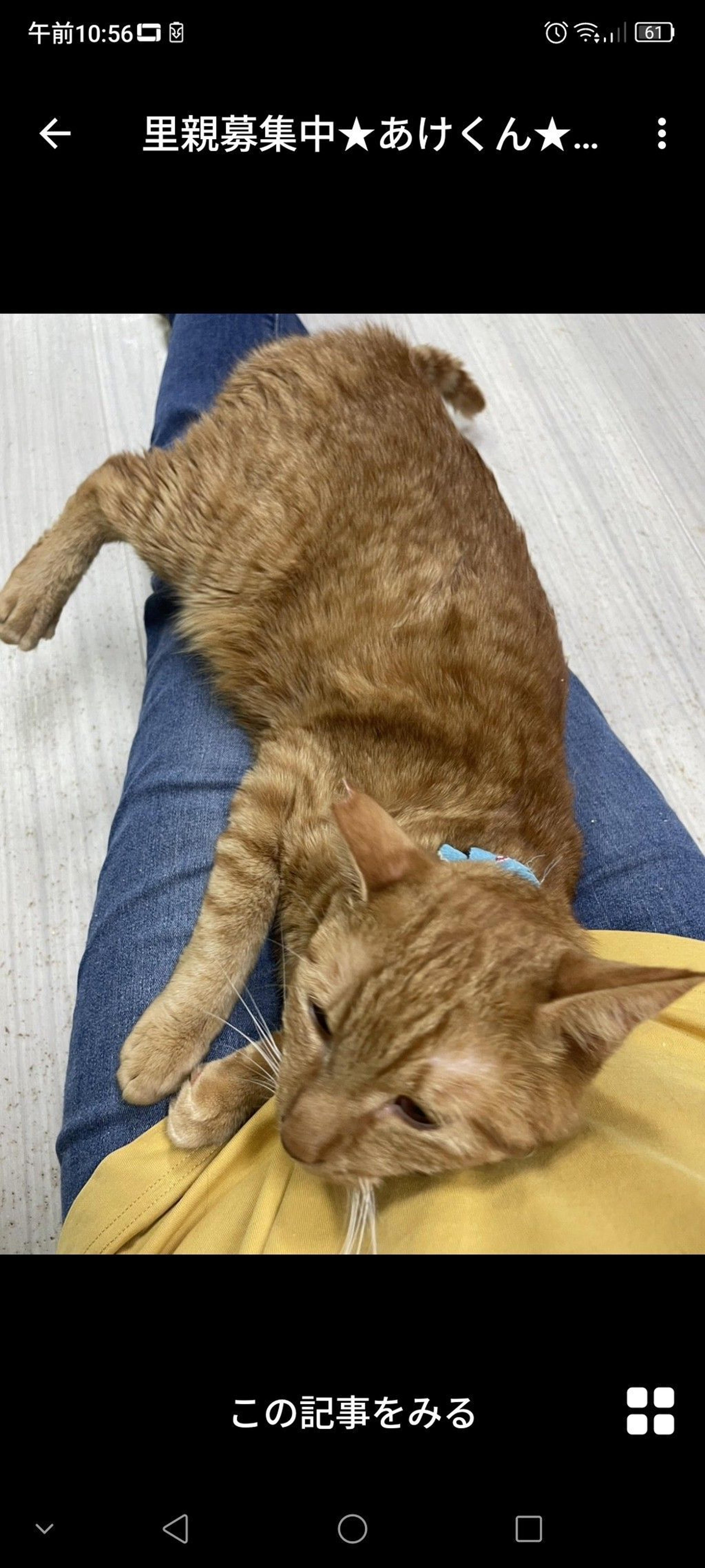 pet-image-3