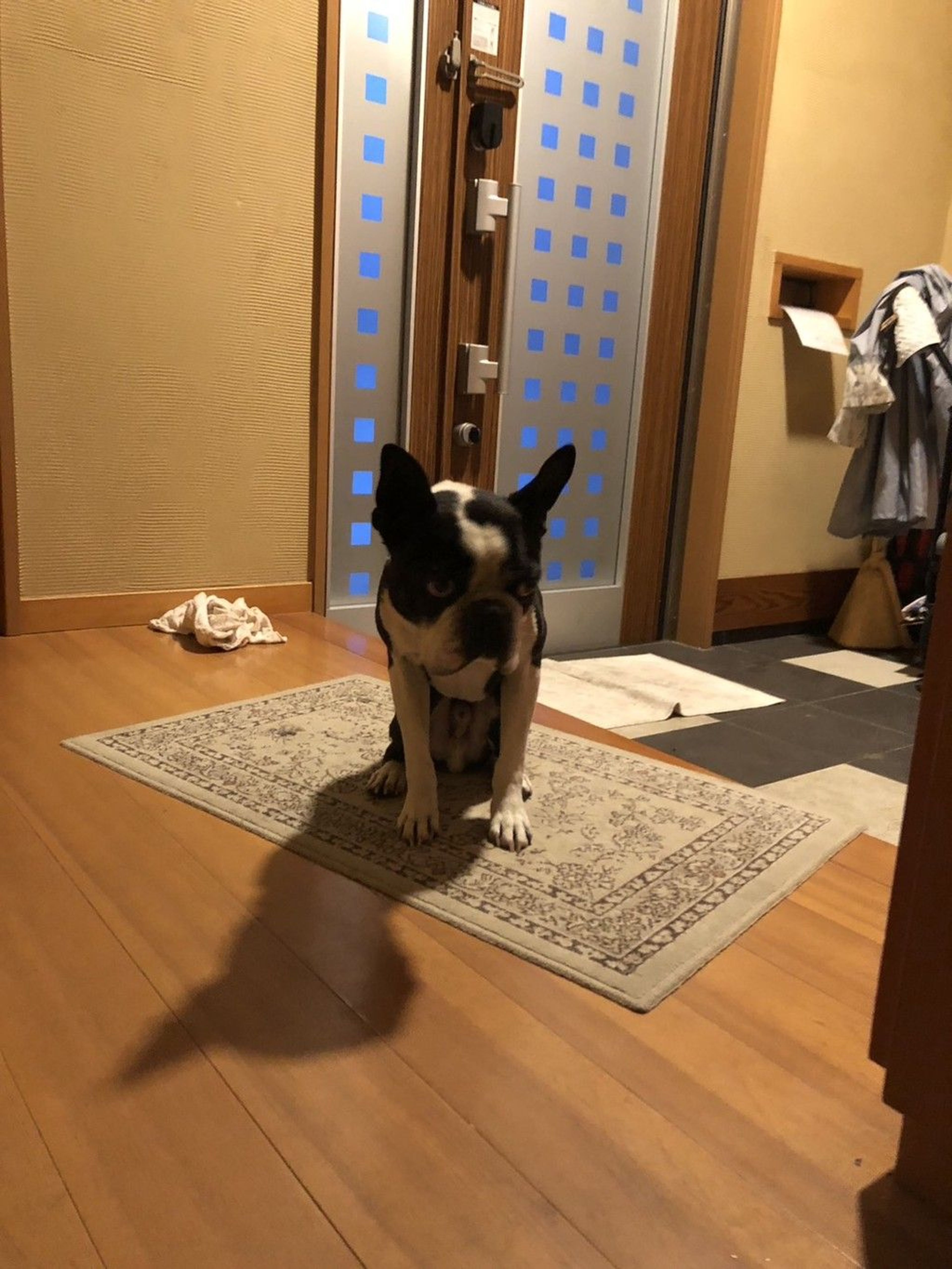 image-8