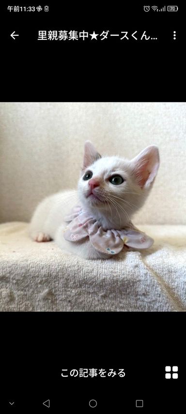 ダースくん