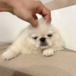 thumb-5