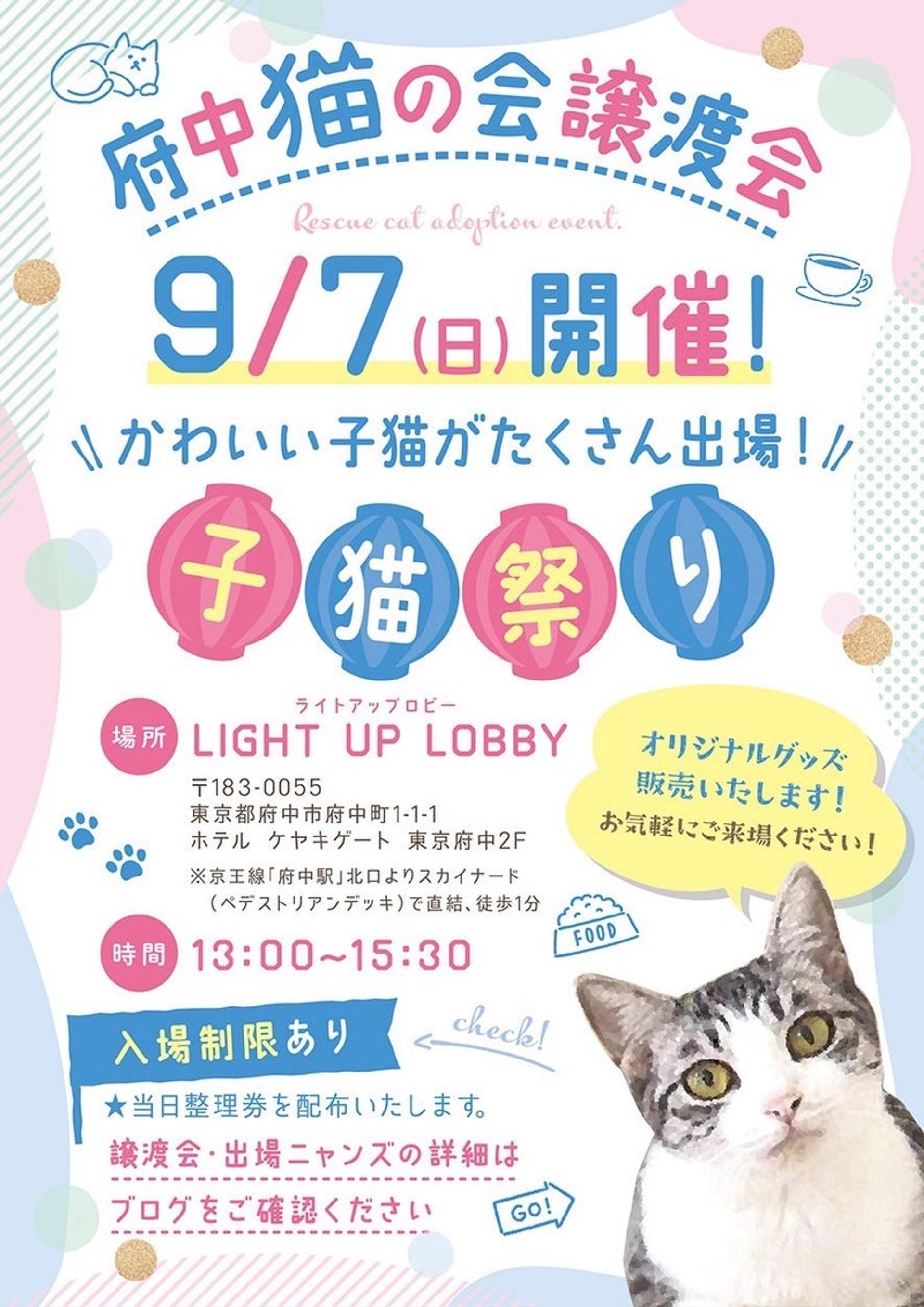 pet-image-6