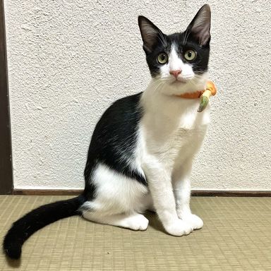 アムロ