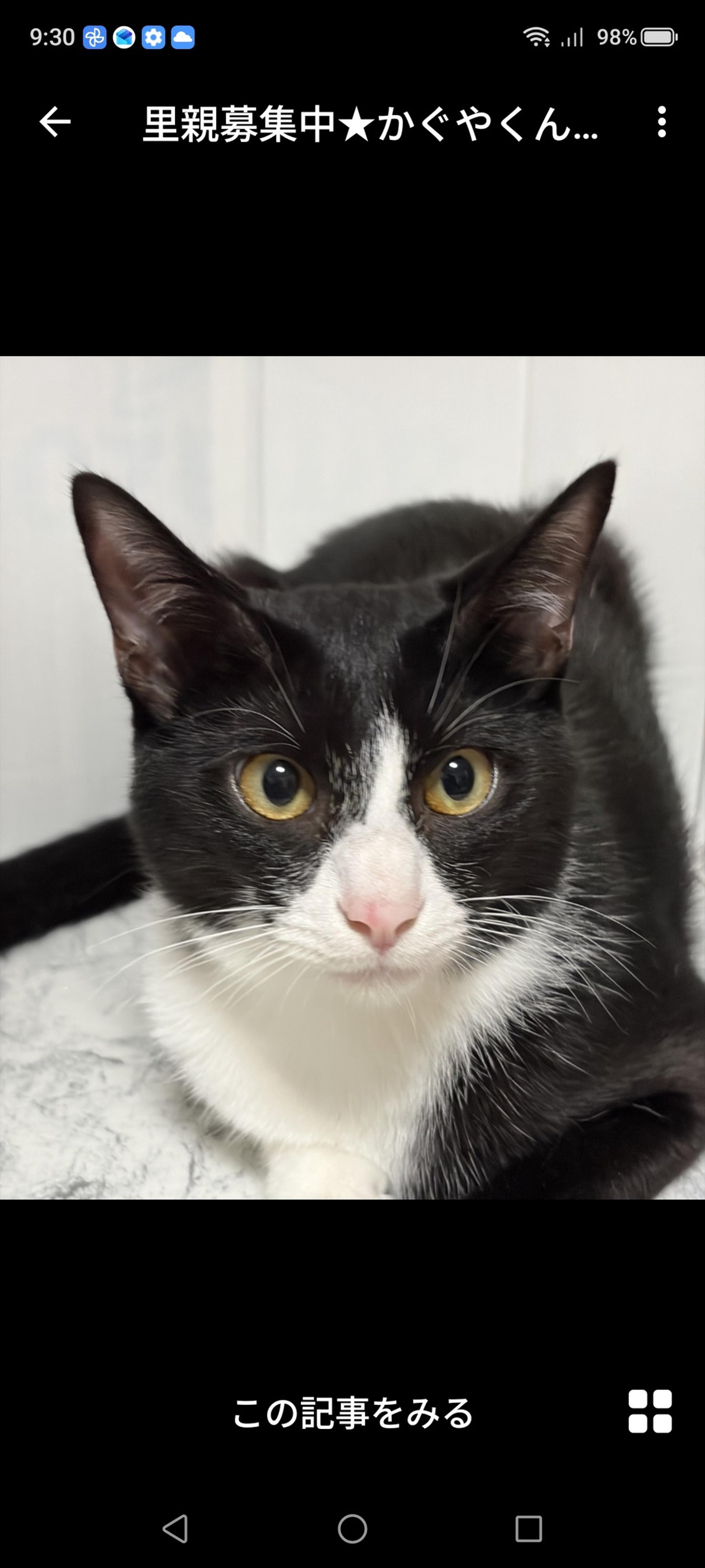 pet-image-2
