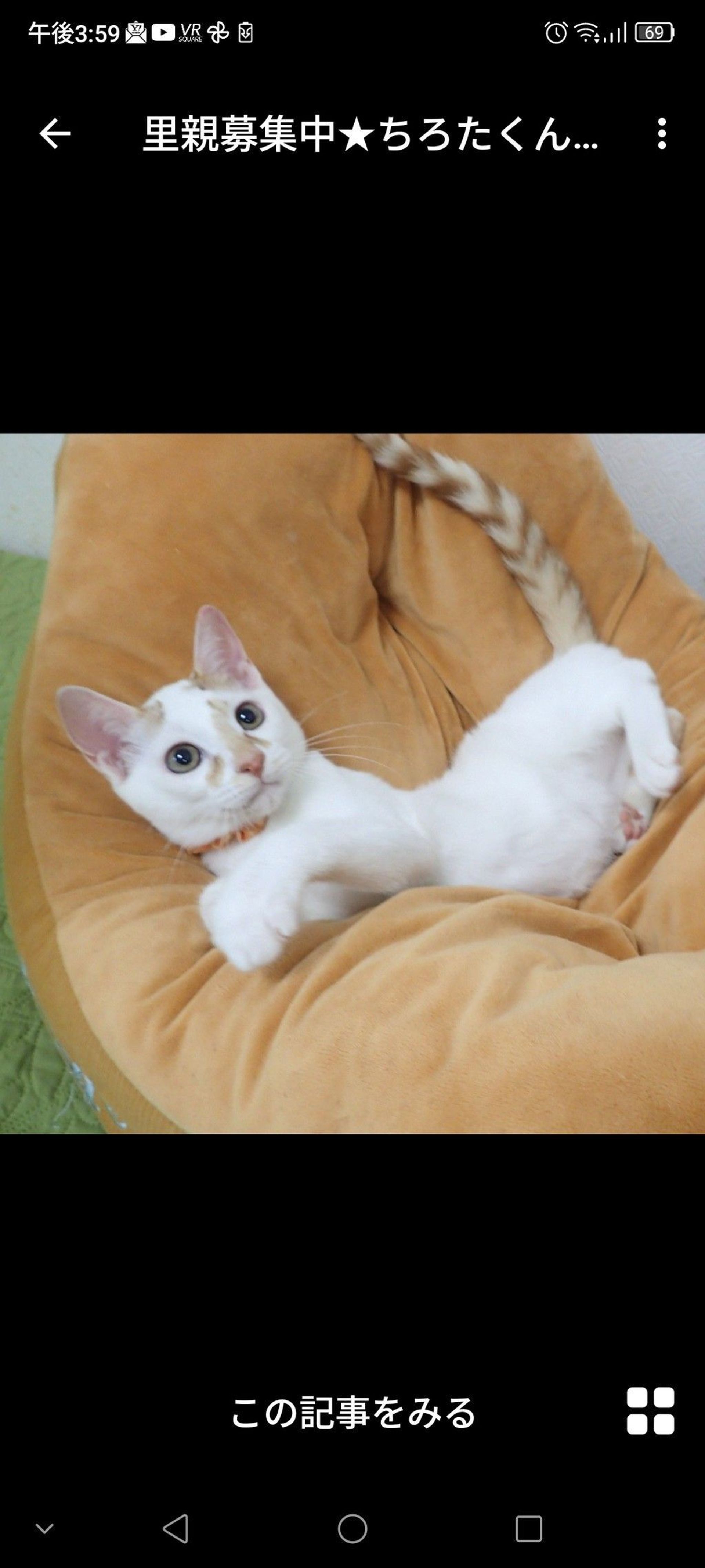 thumbnail-3