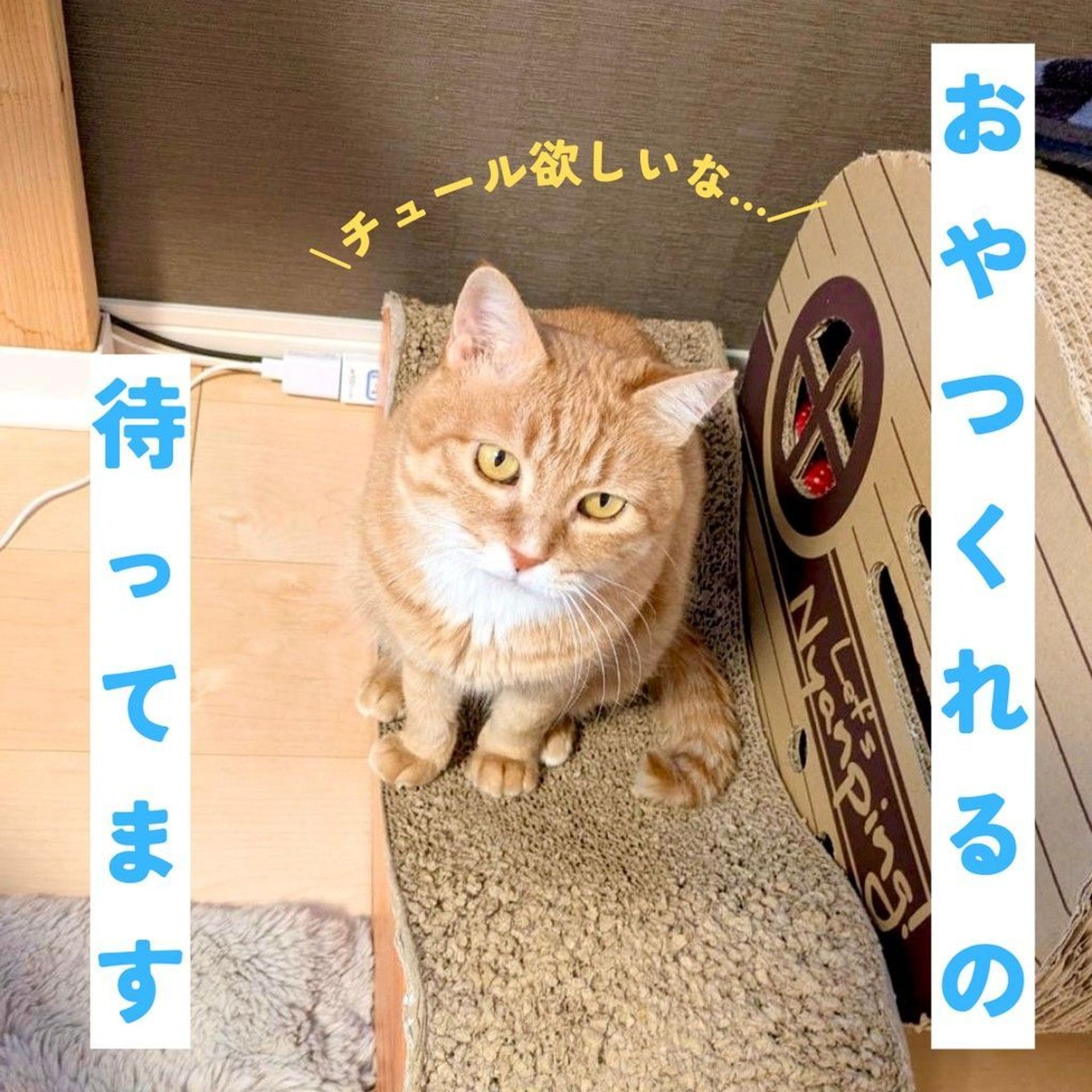 thumbnail-5