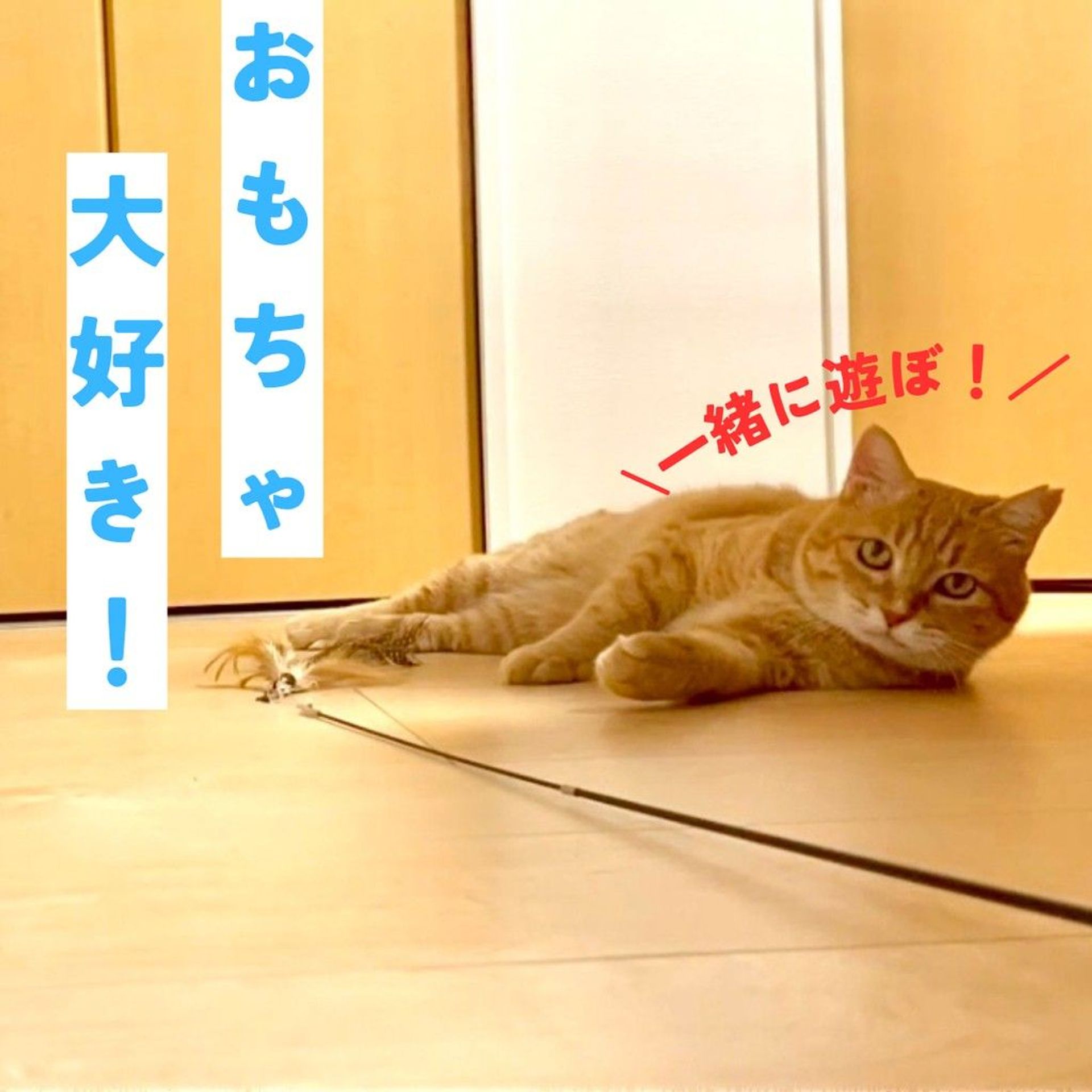 thumbnail-4