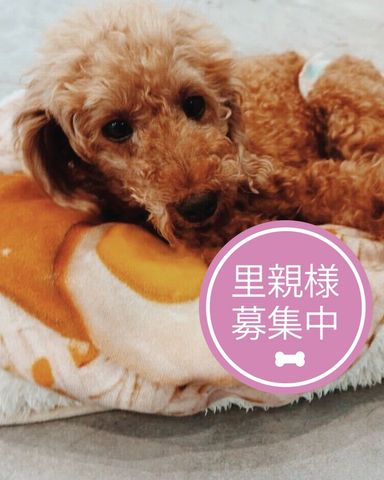 店長